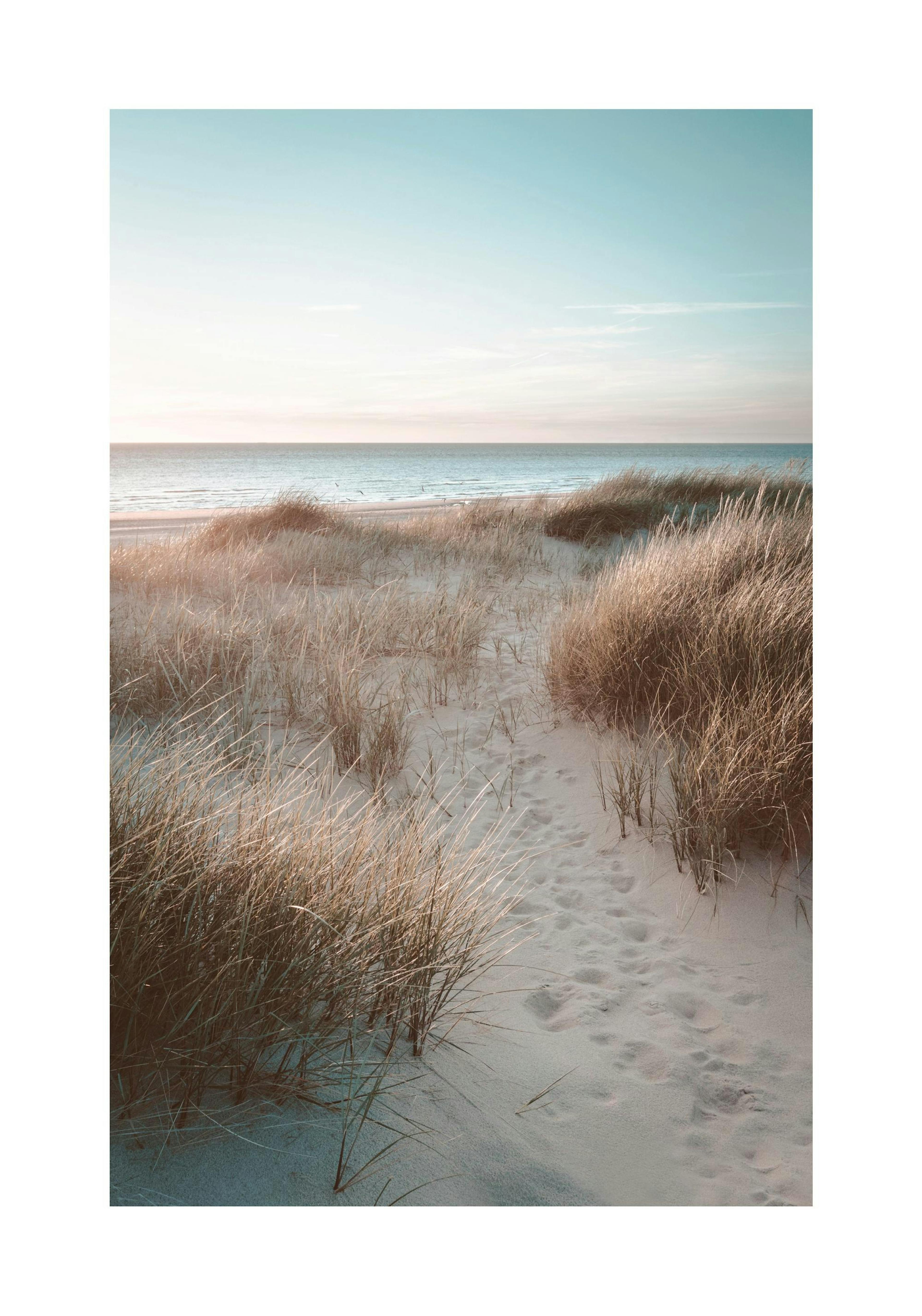 Sunset Beach Dune 포스터