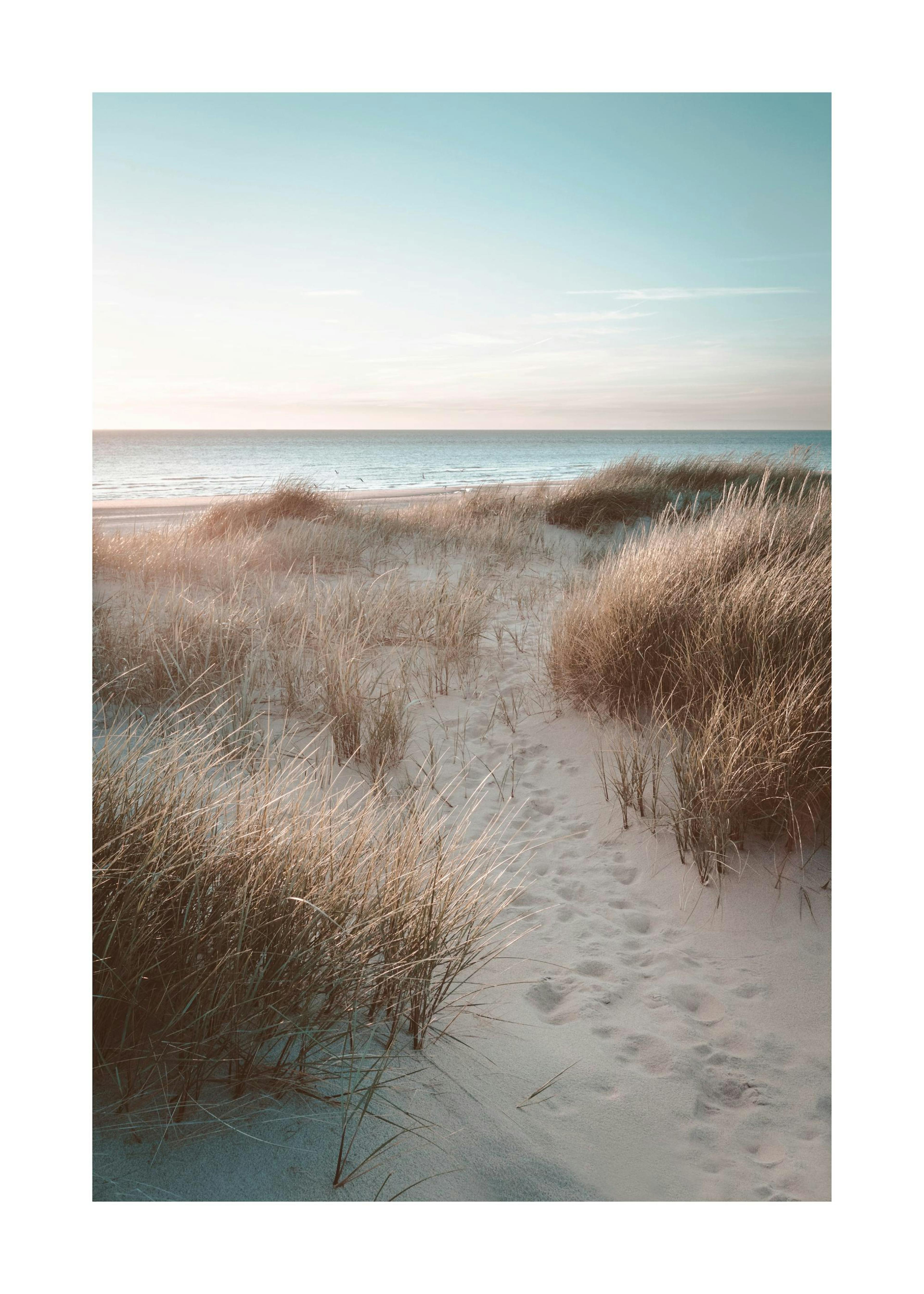 Sunset Beach Dune Poster 0