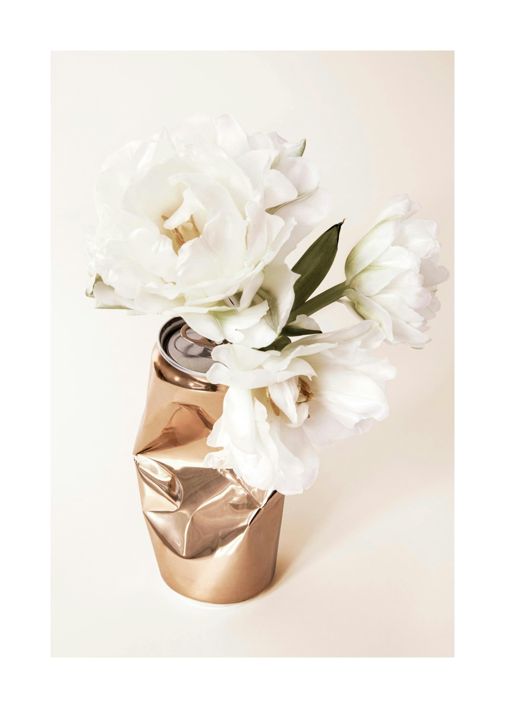 Canned Flowers Print 0