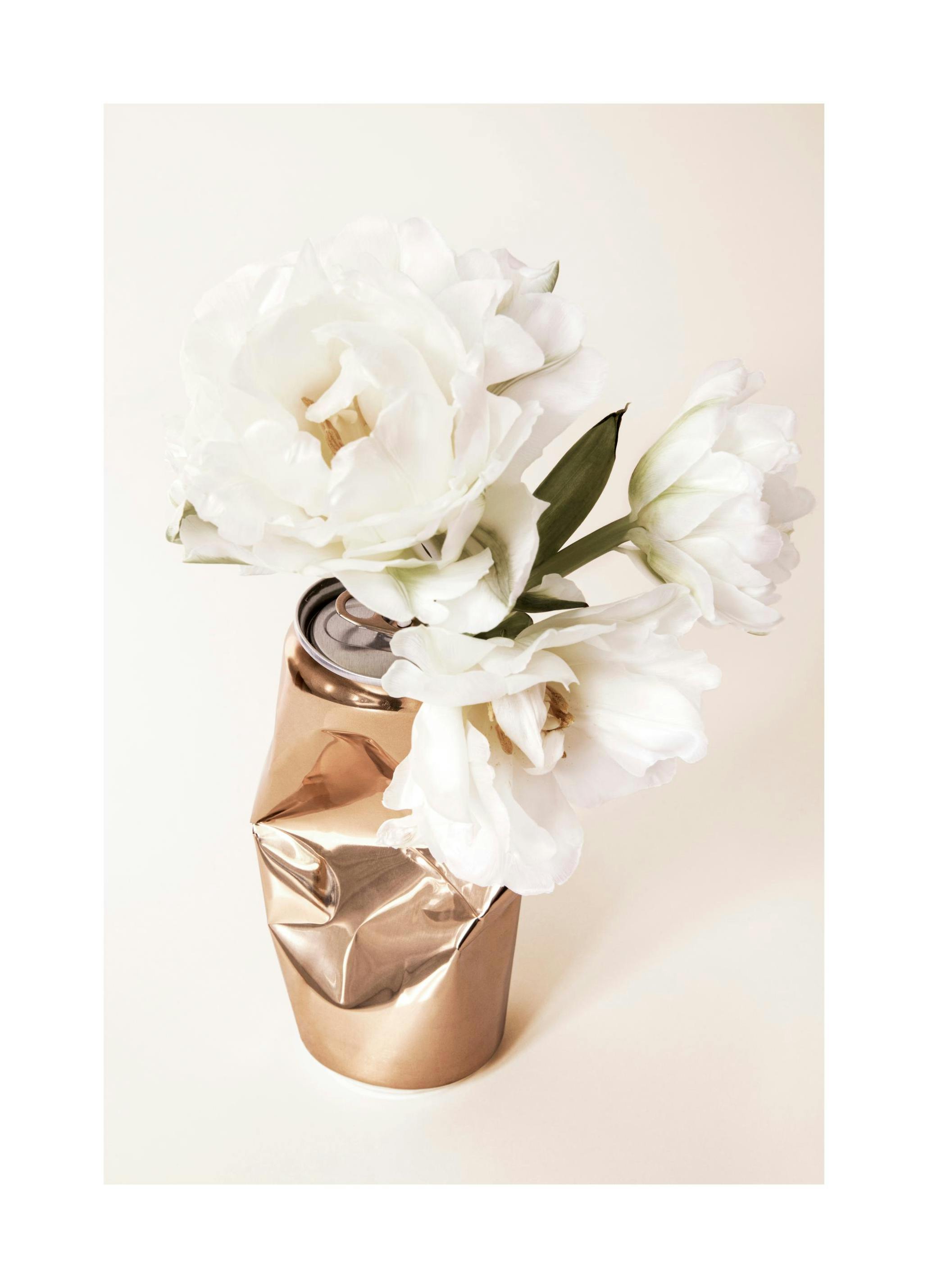 Canned Flowers Affiche (30x40 cm) - Photographies