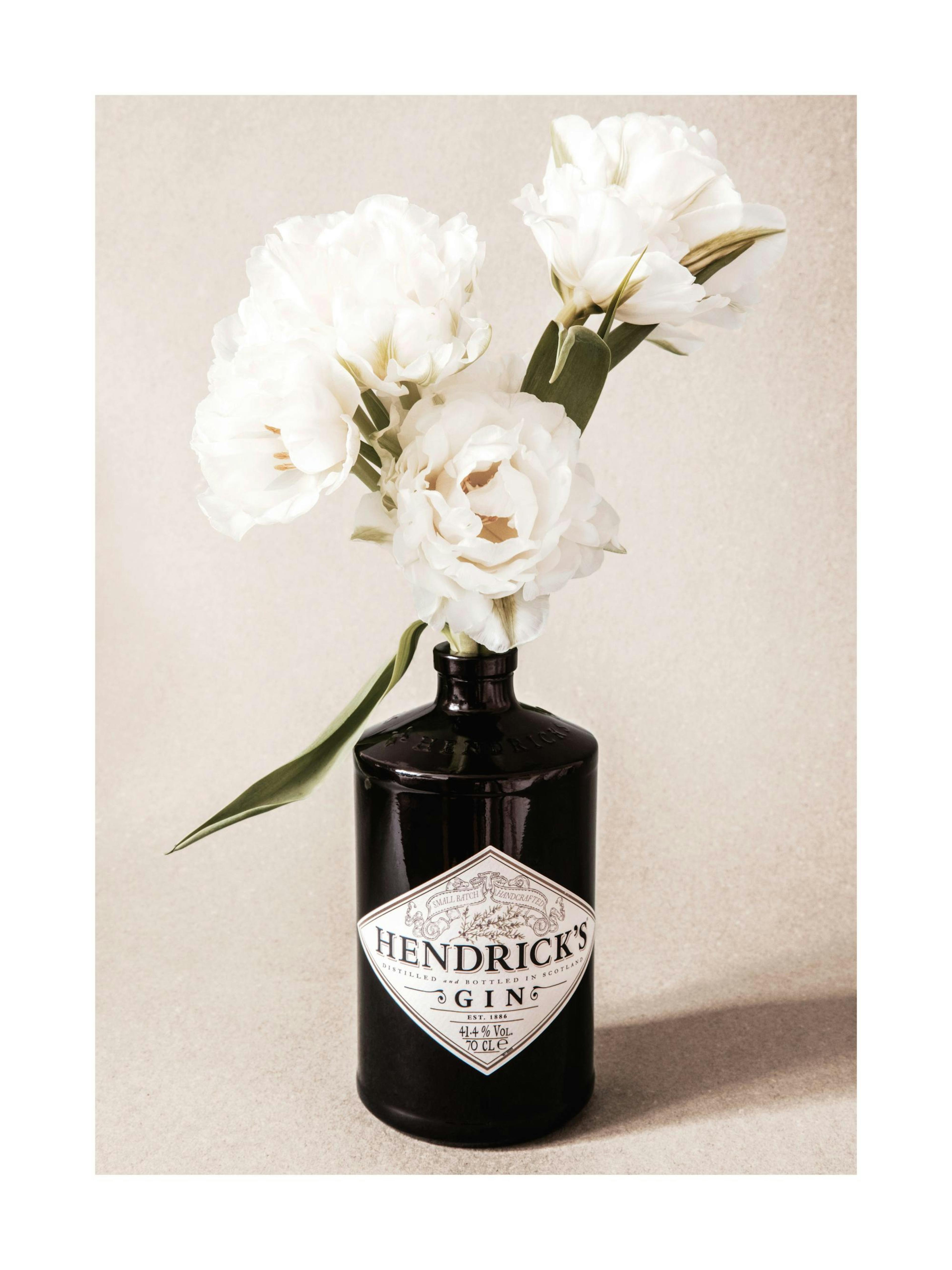 Gin & Roses Poster 0