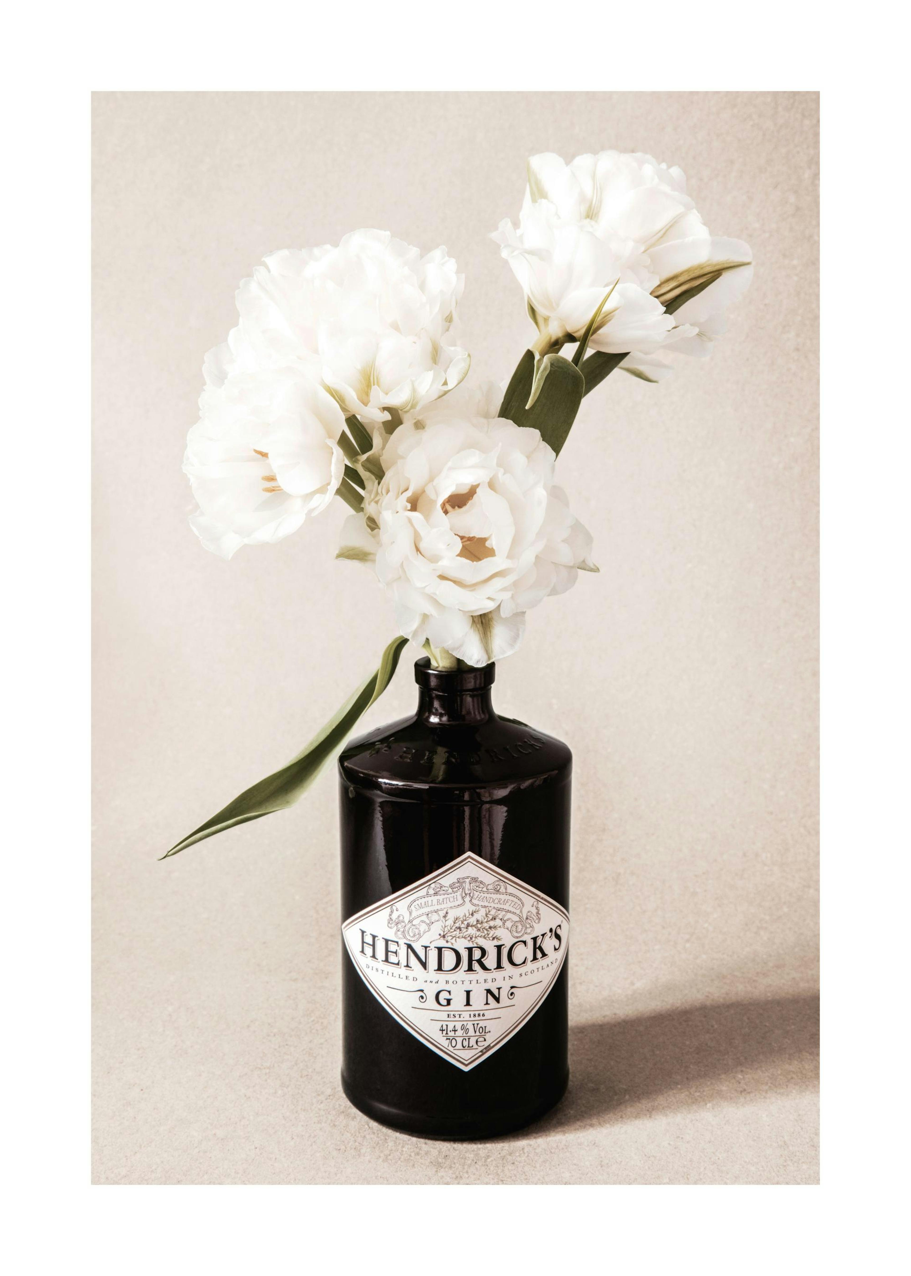 Gin & Roses Poster 0