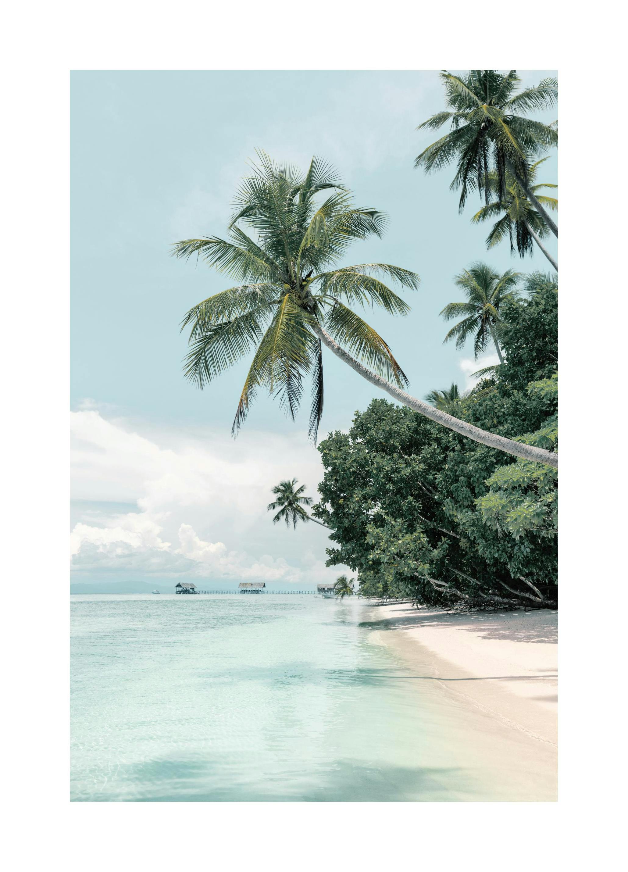 Tropical Sand Beach Poster (50x70 cm)