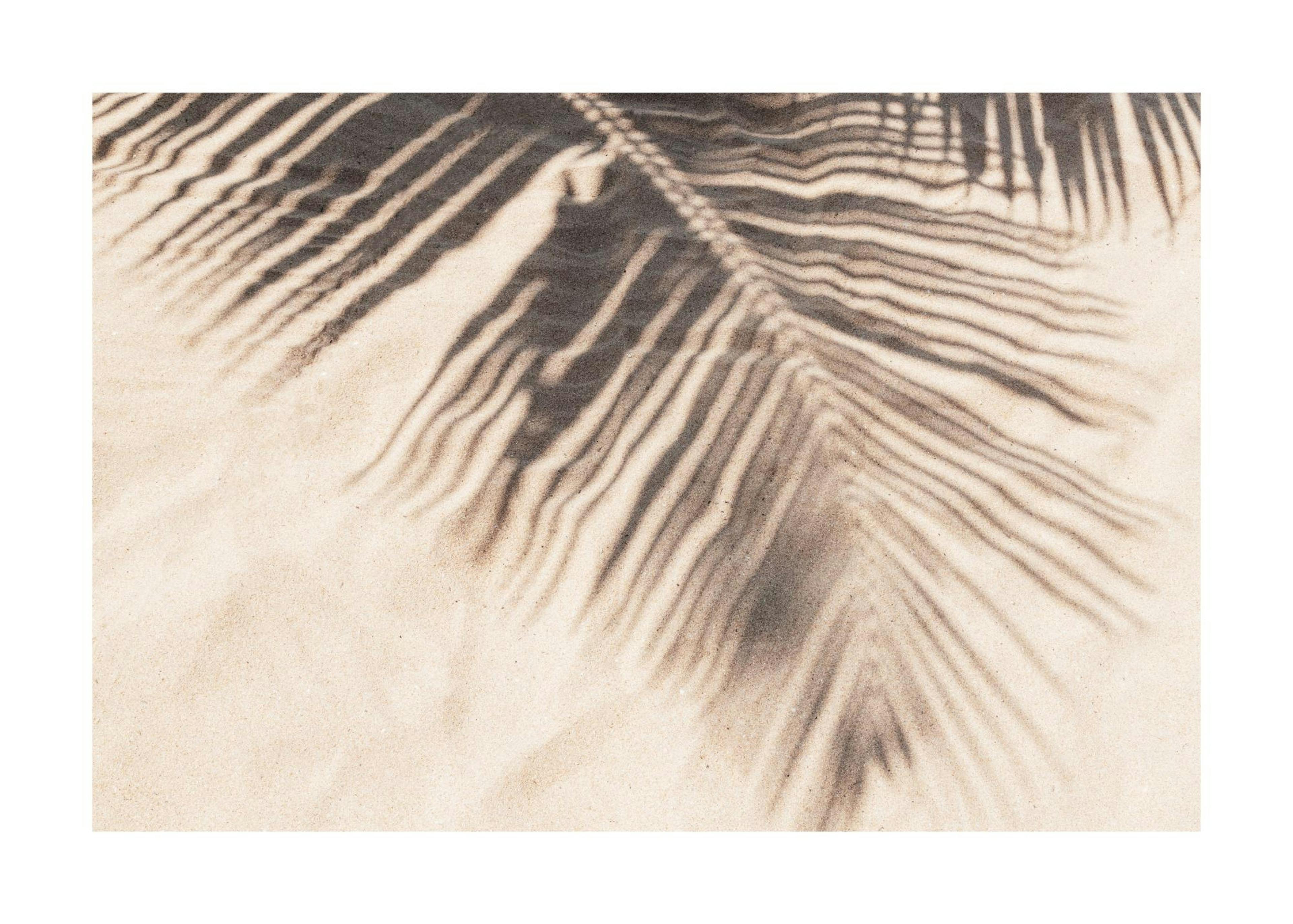 Tropical Shadow Juliste 0