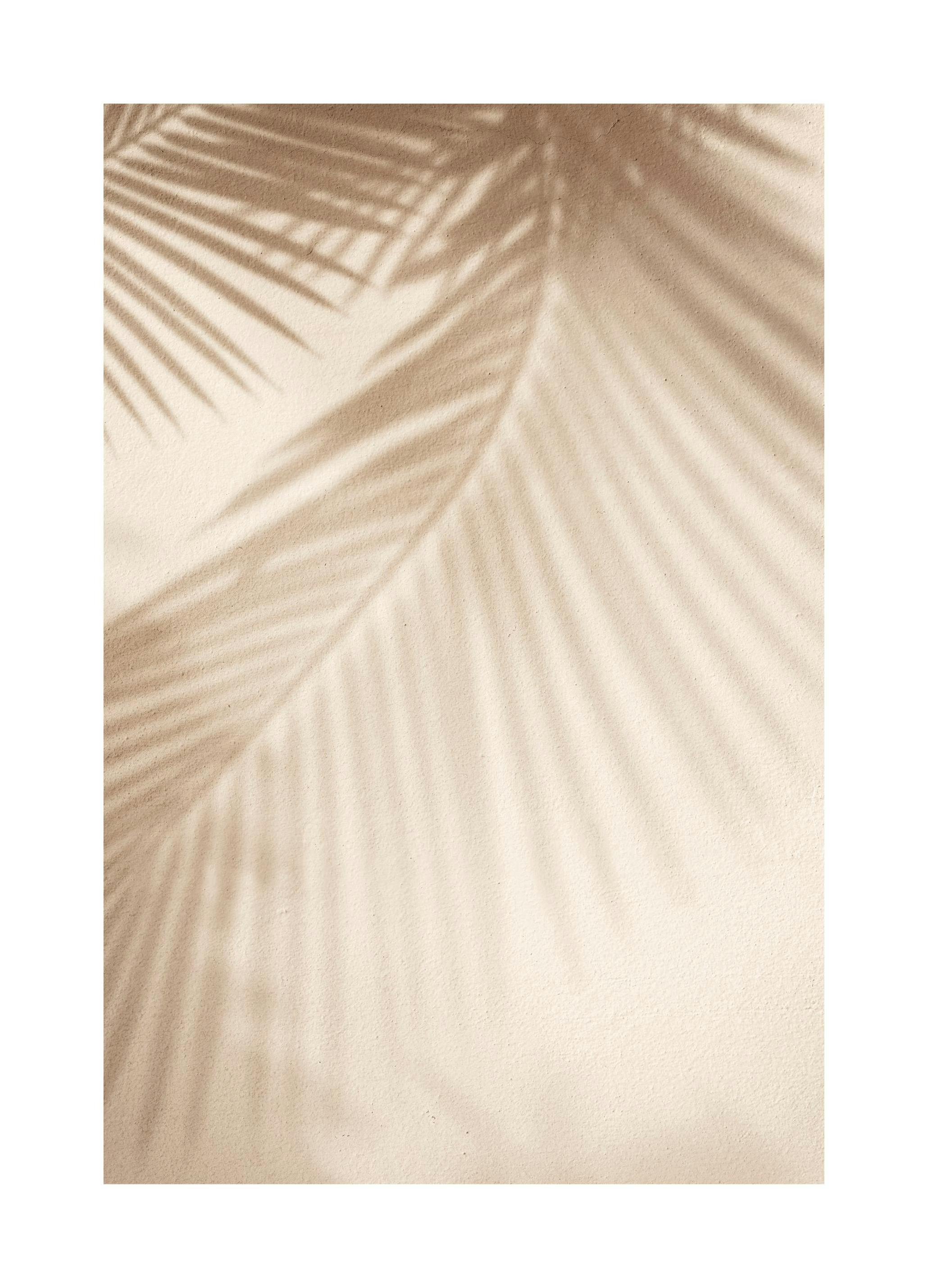 Leaf Shadow Poster (50x70 cm)