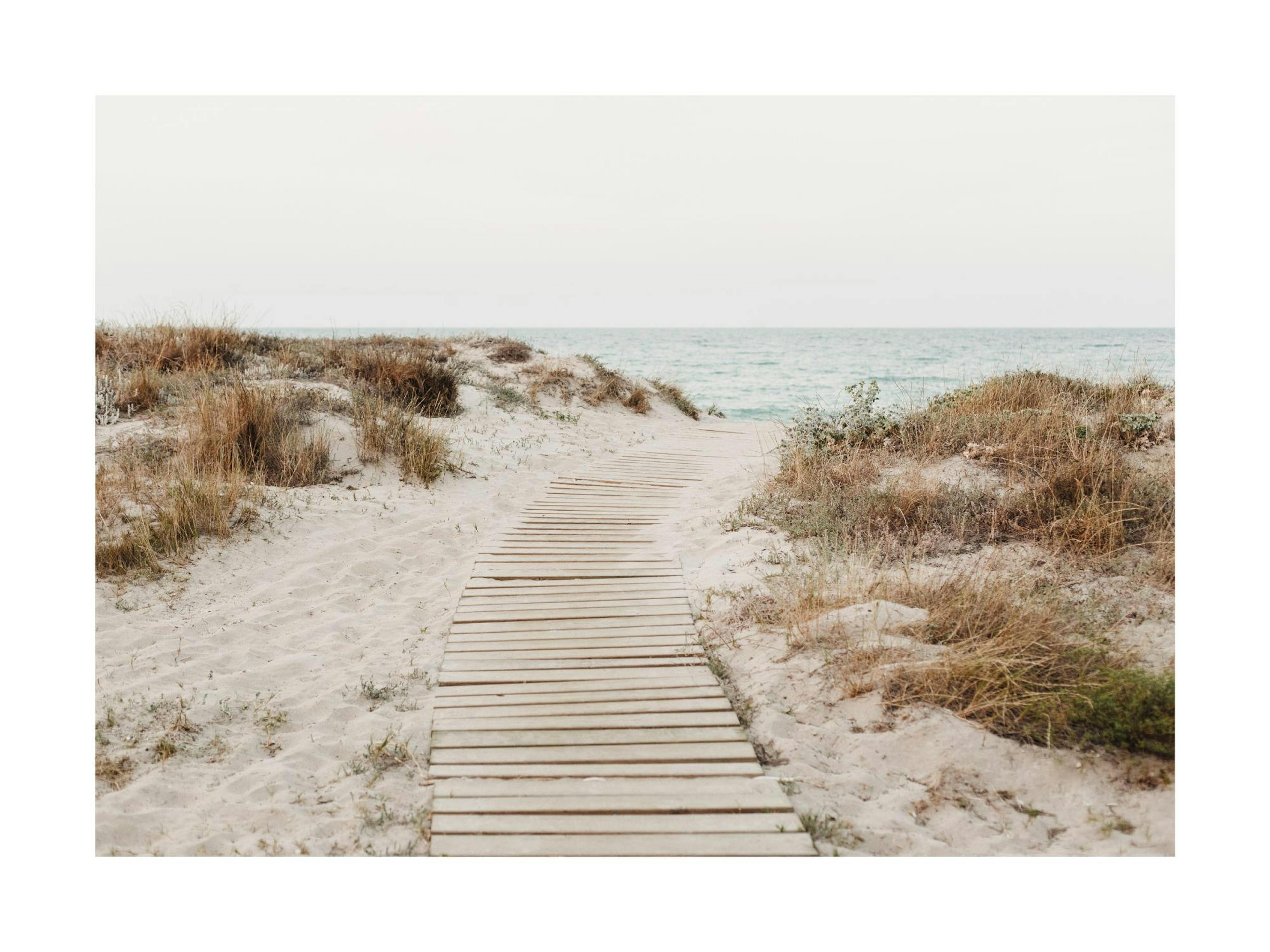 Beach Path Poster