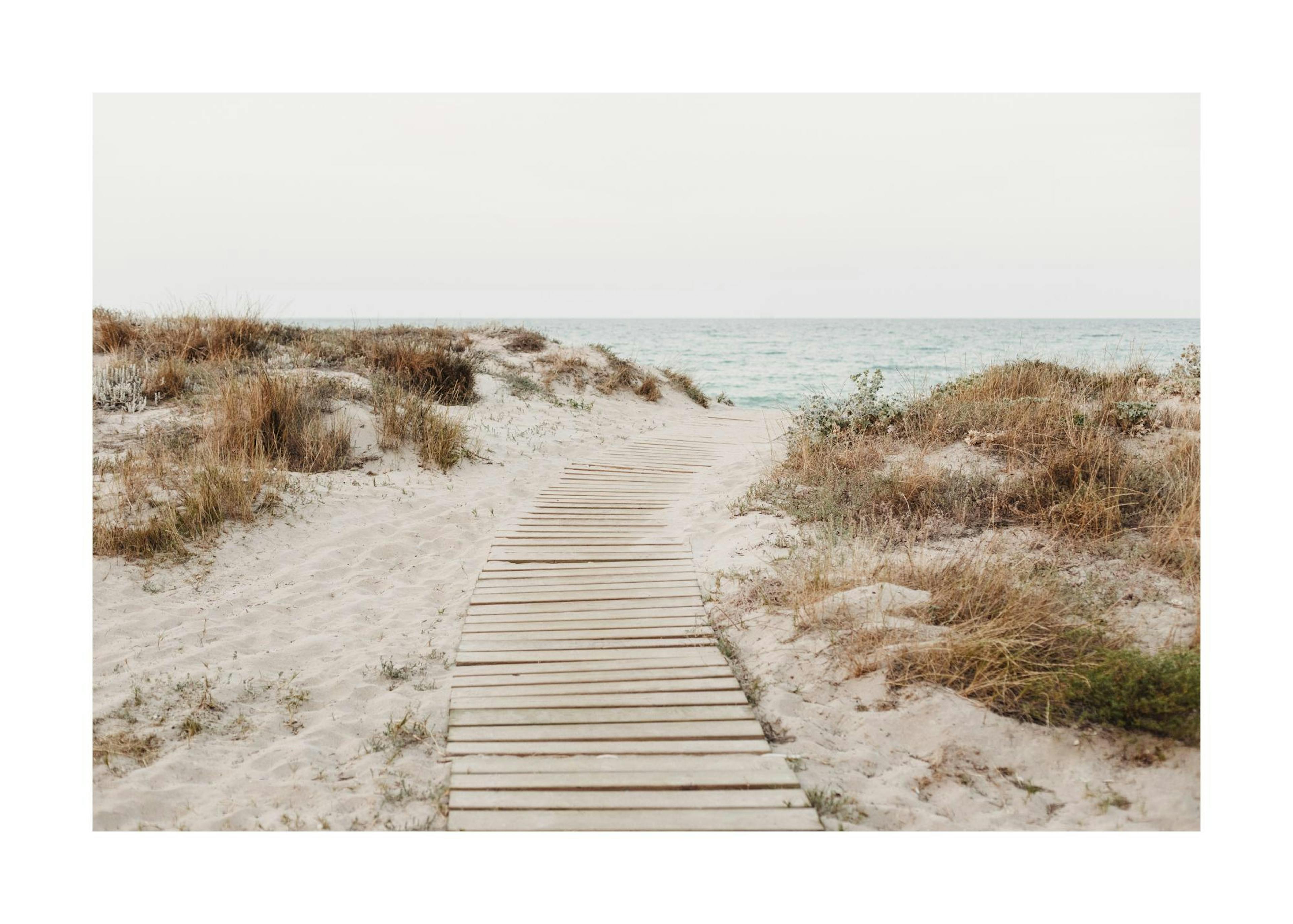 Beach Path Affiche 0