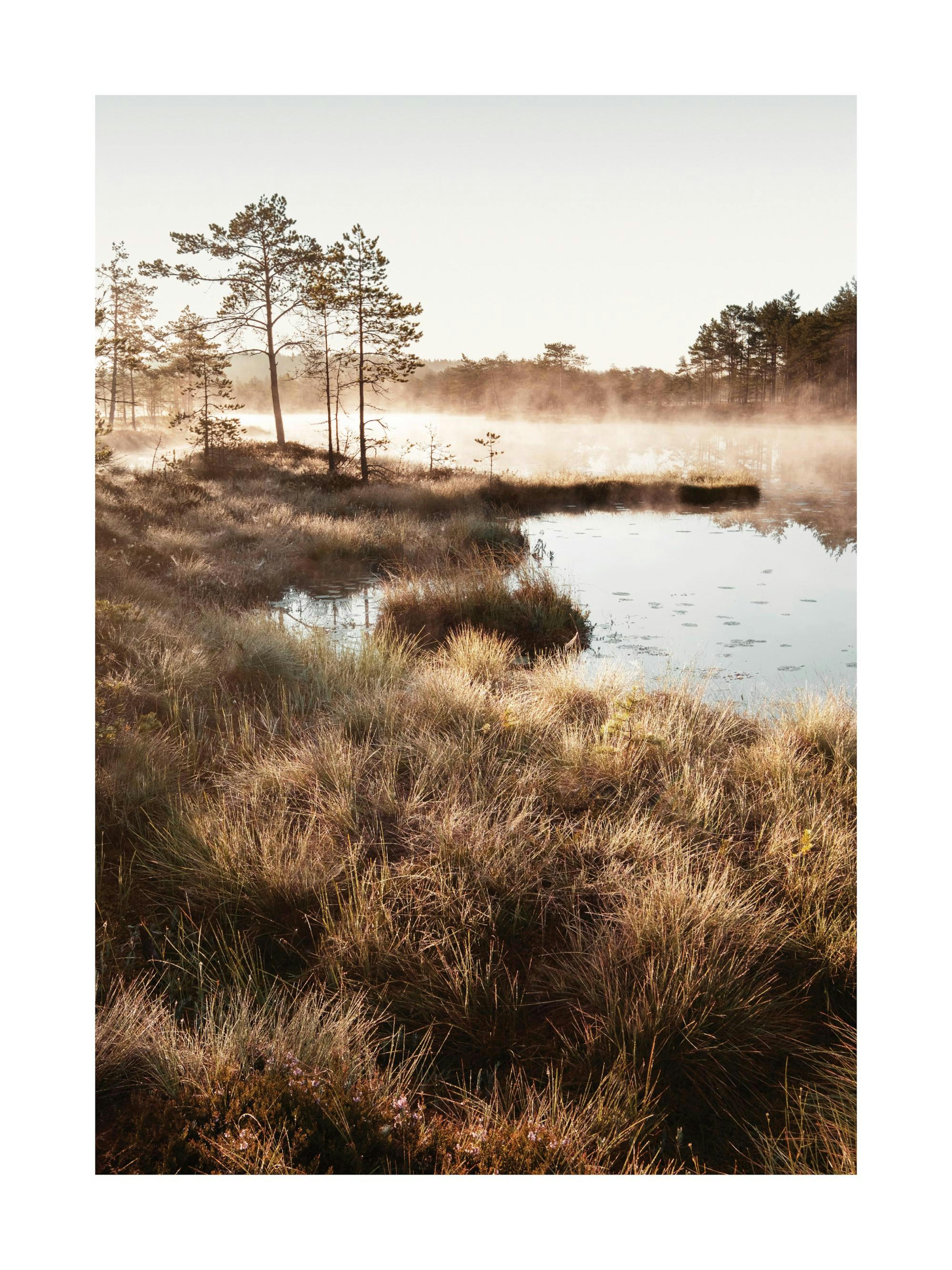 Autumn Dawn Poster