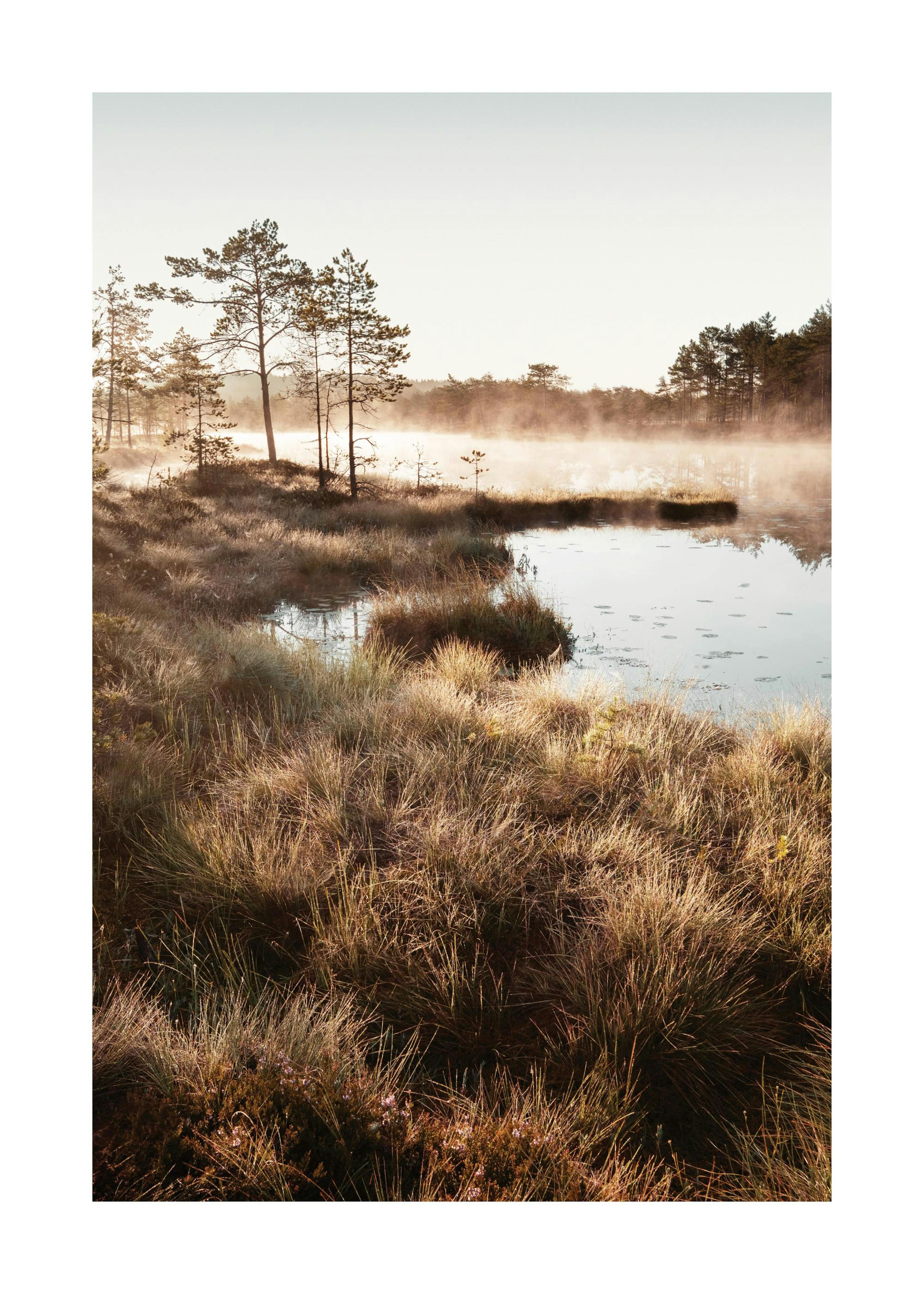 Autumn Dawn Print 0