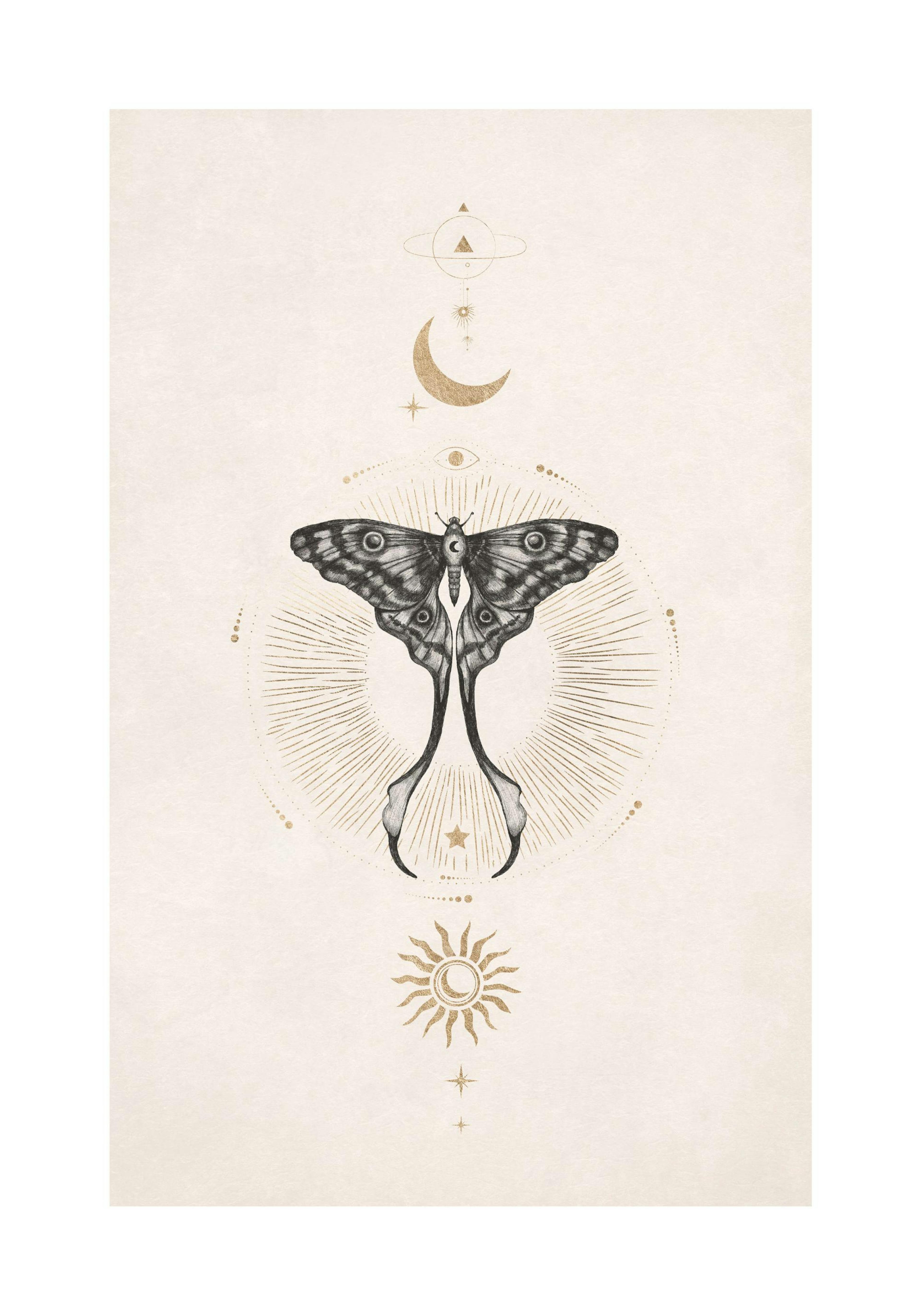 Moon Star Butterfly Print