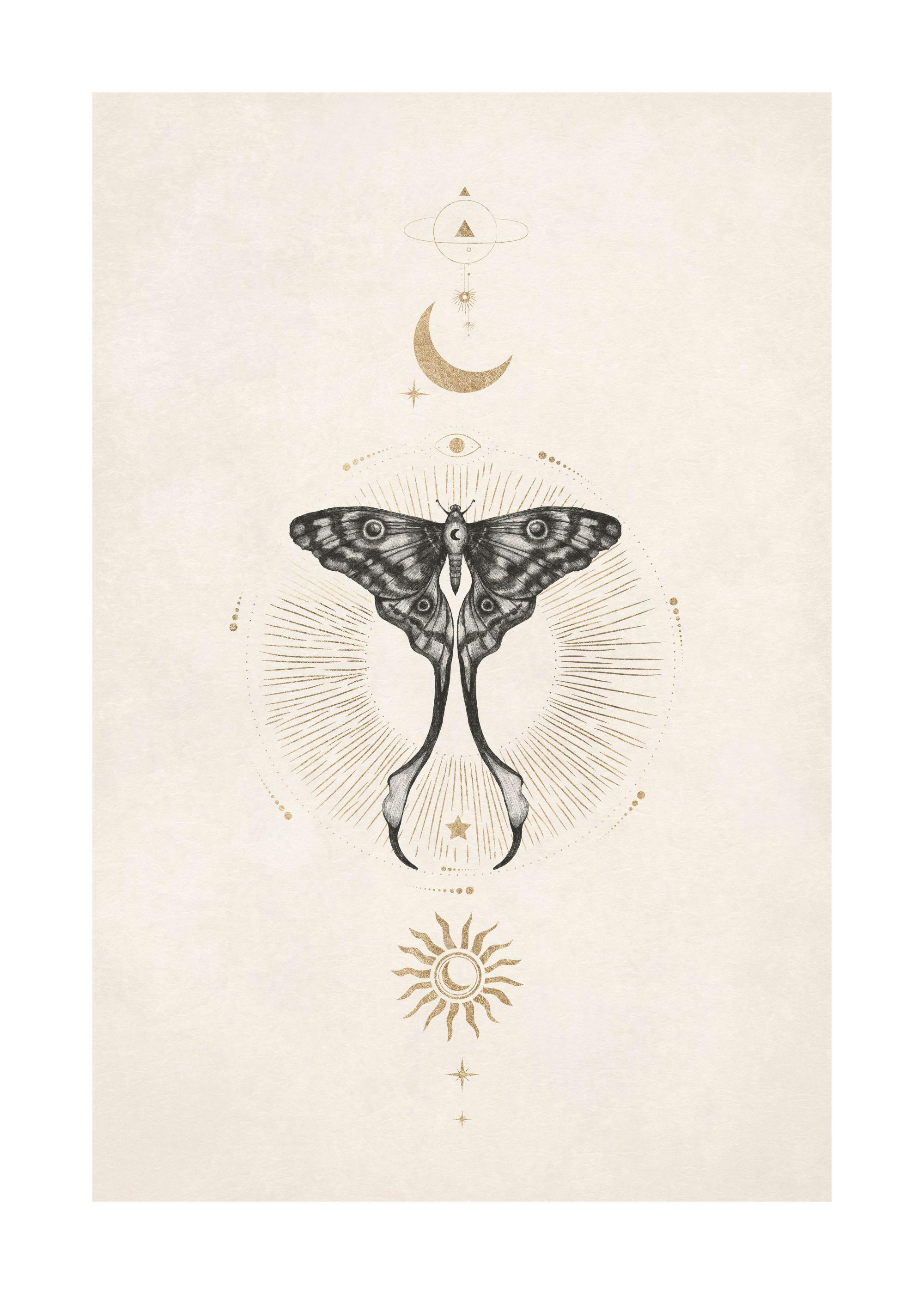 Moon Star Butterfly Print 0