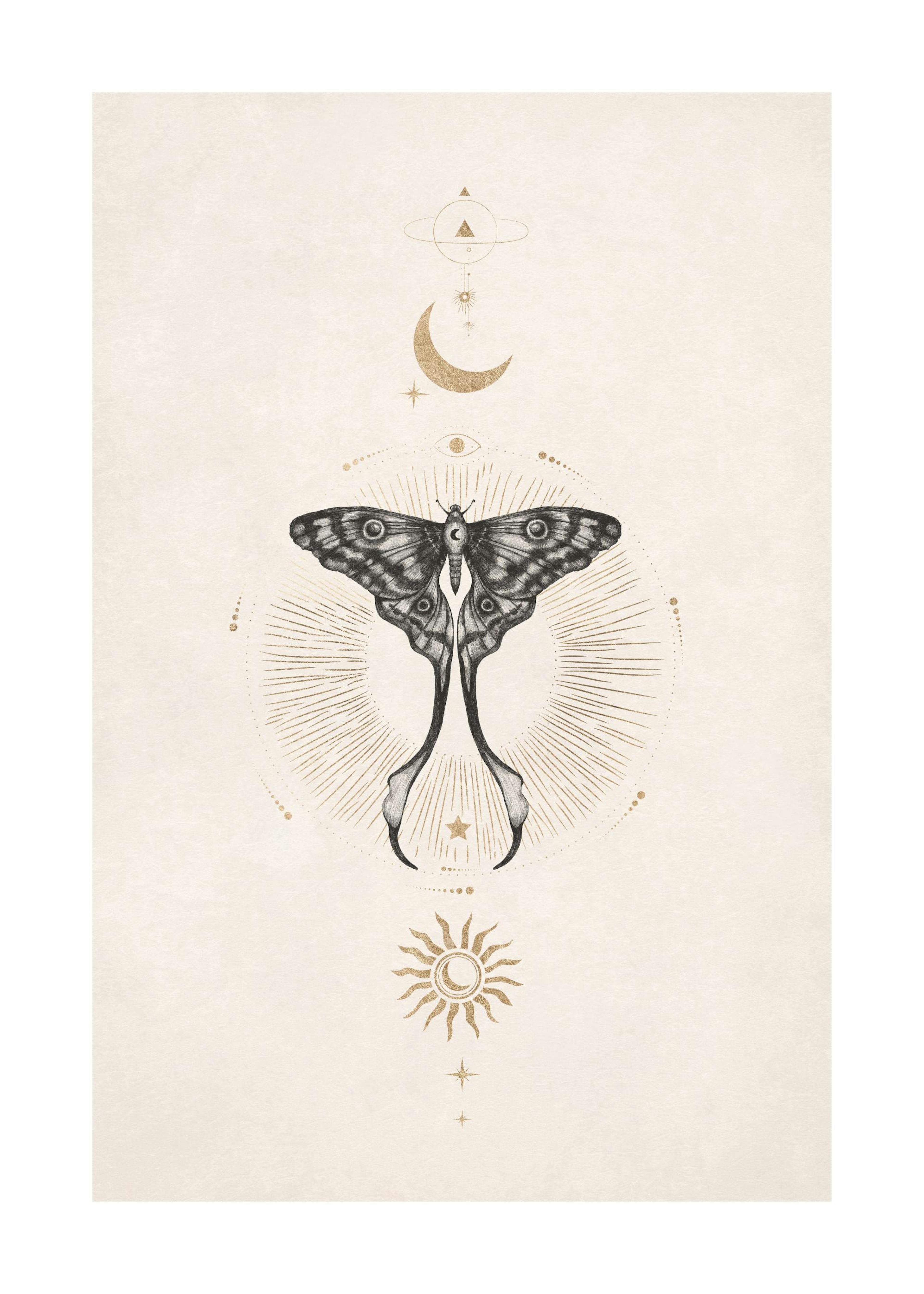 Moon Star Butterfly Affiche 0