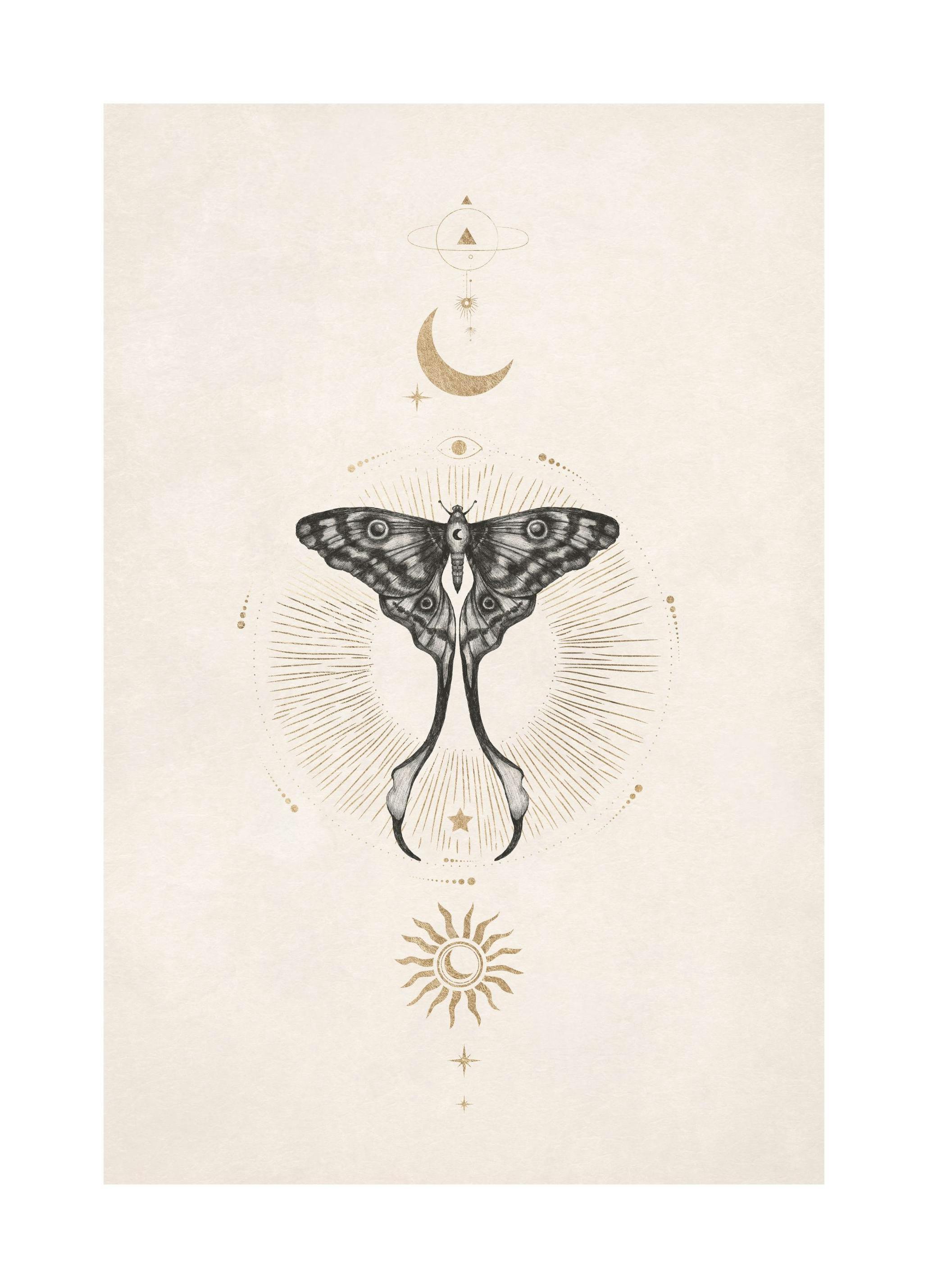 Moon Star Butterfly Plagát (50x70 cm)