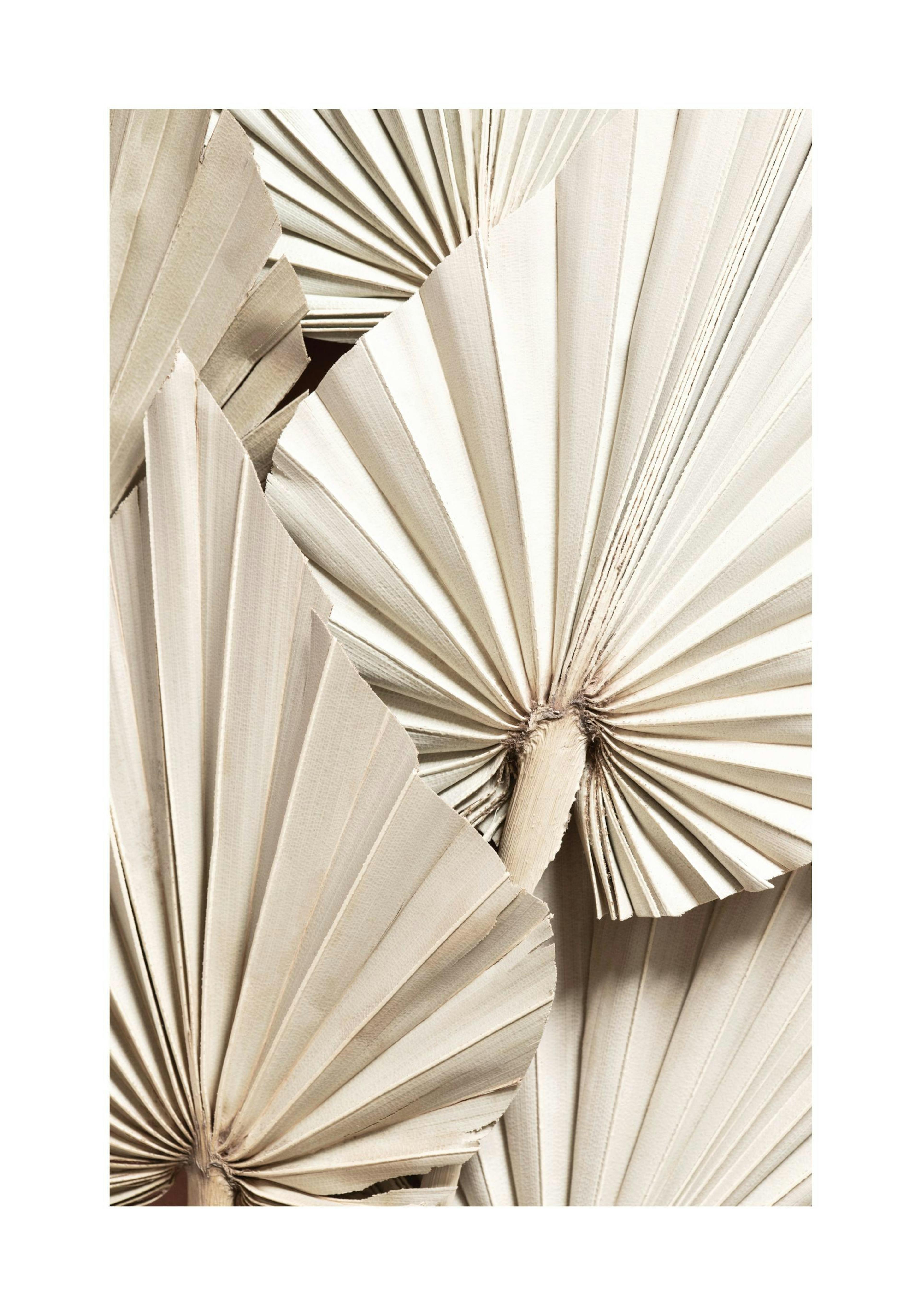 Product image: 1