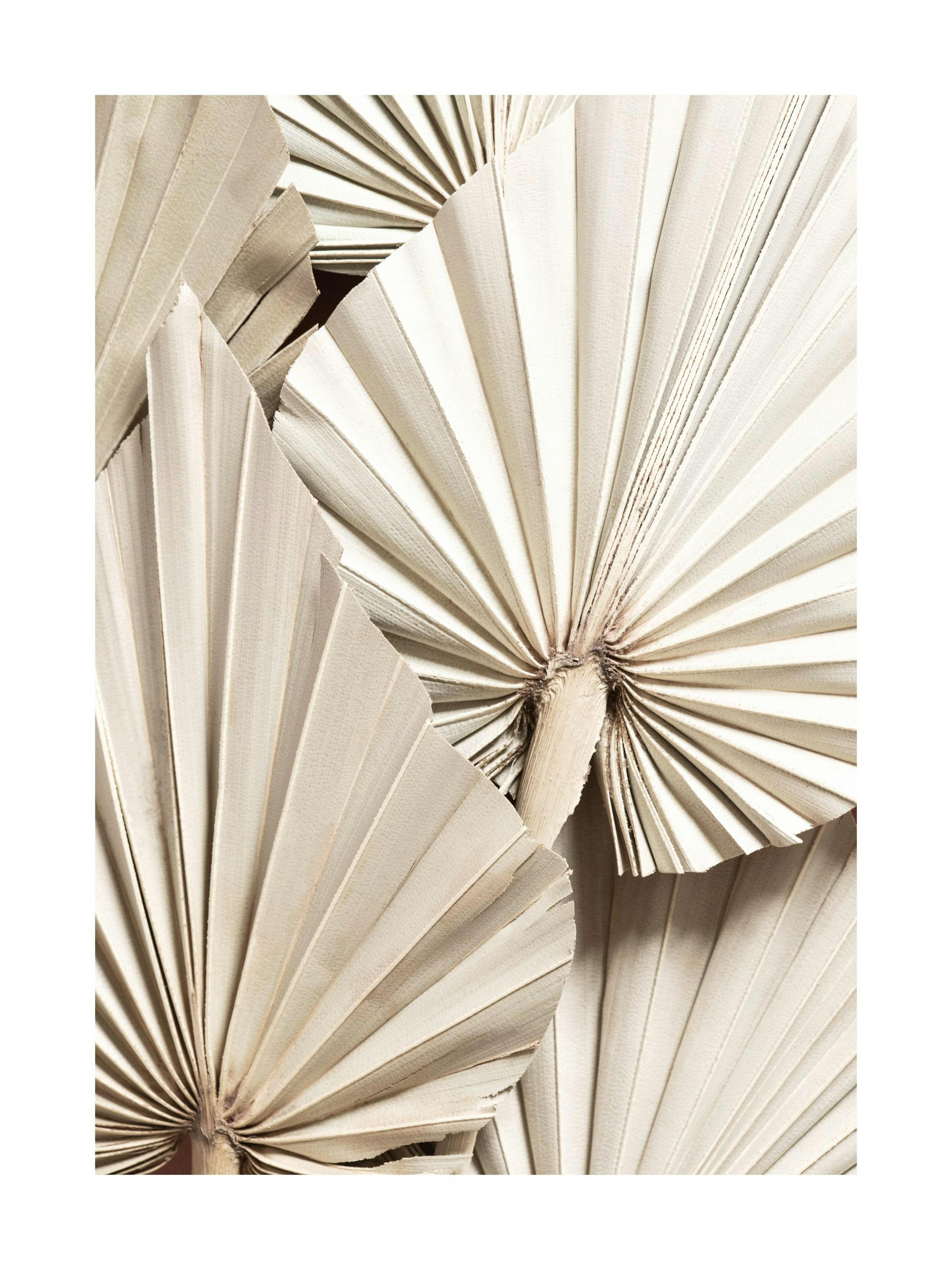 Pleated Palm Affiche