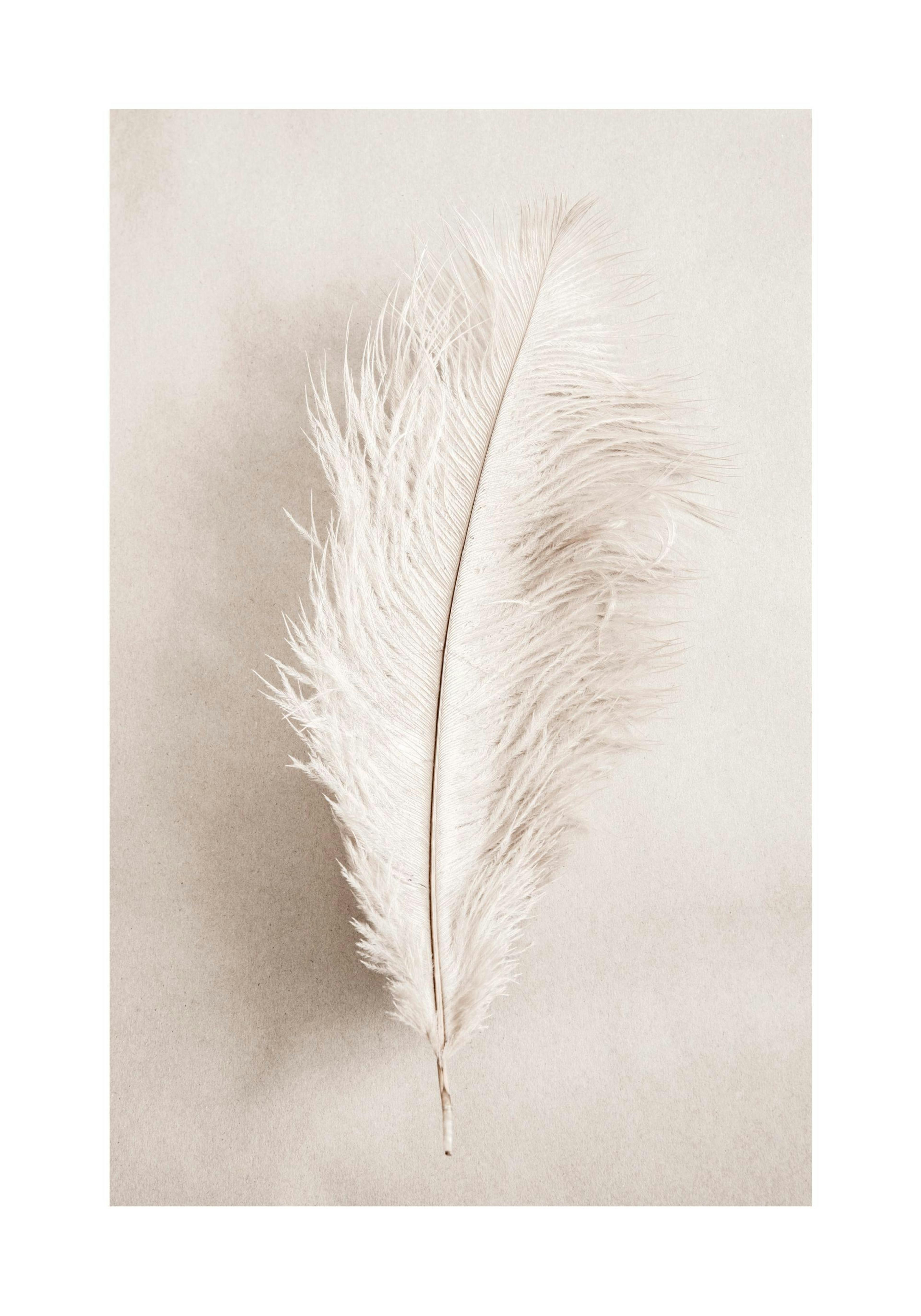 As a Feather Affiche 0