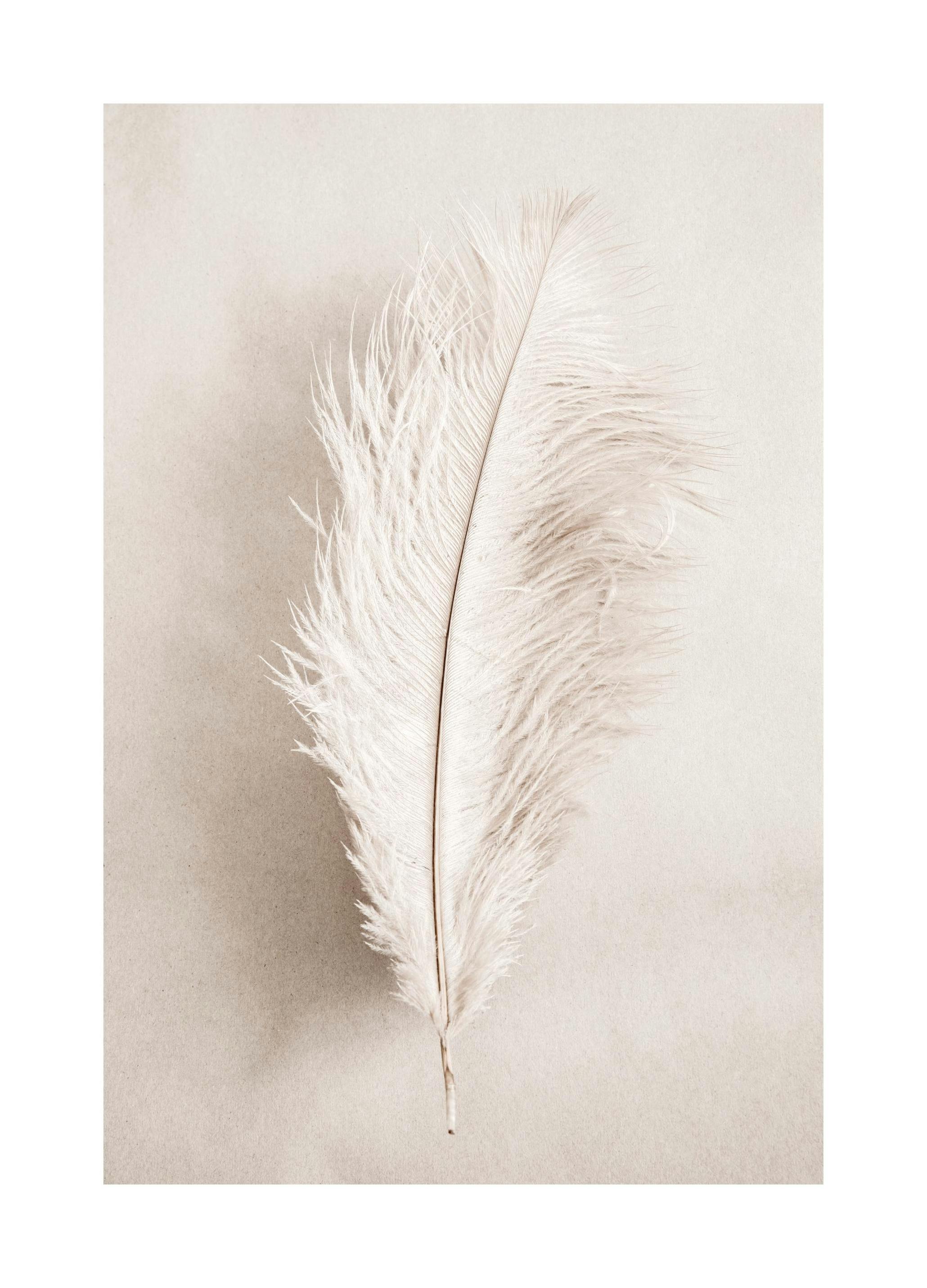 As a Feather Plagát (70x100 cm)