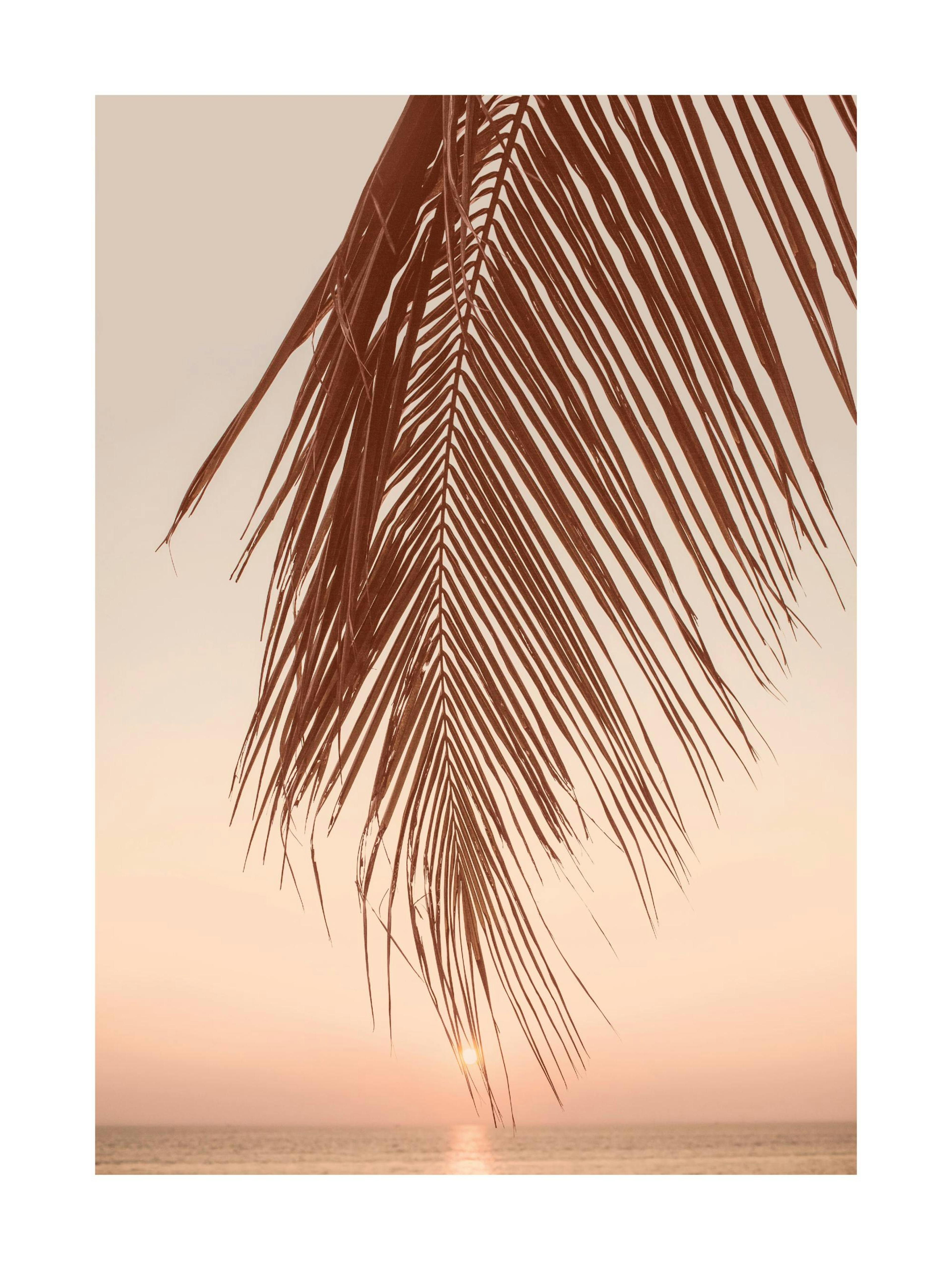 Sunset Palm Poster