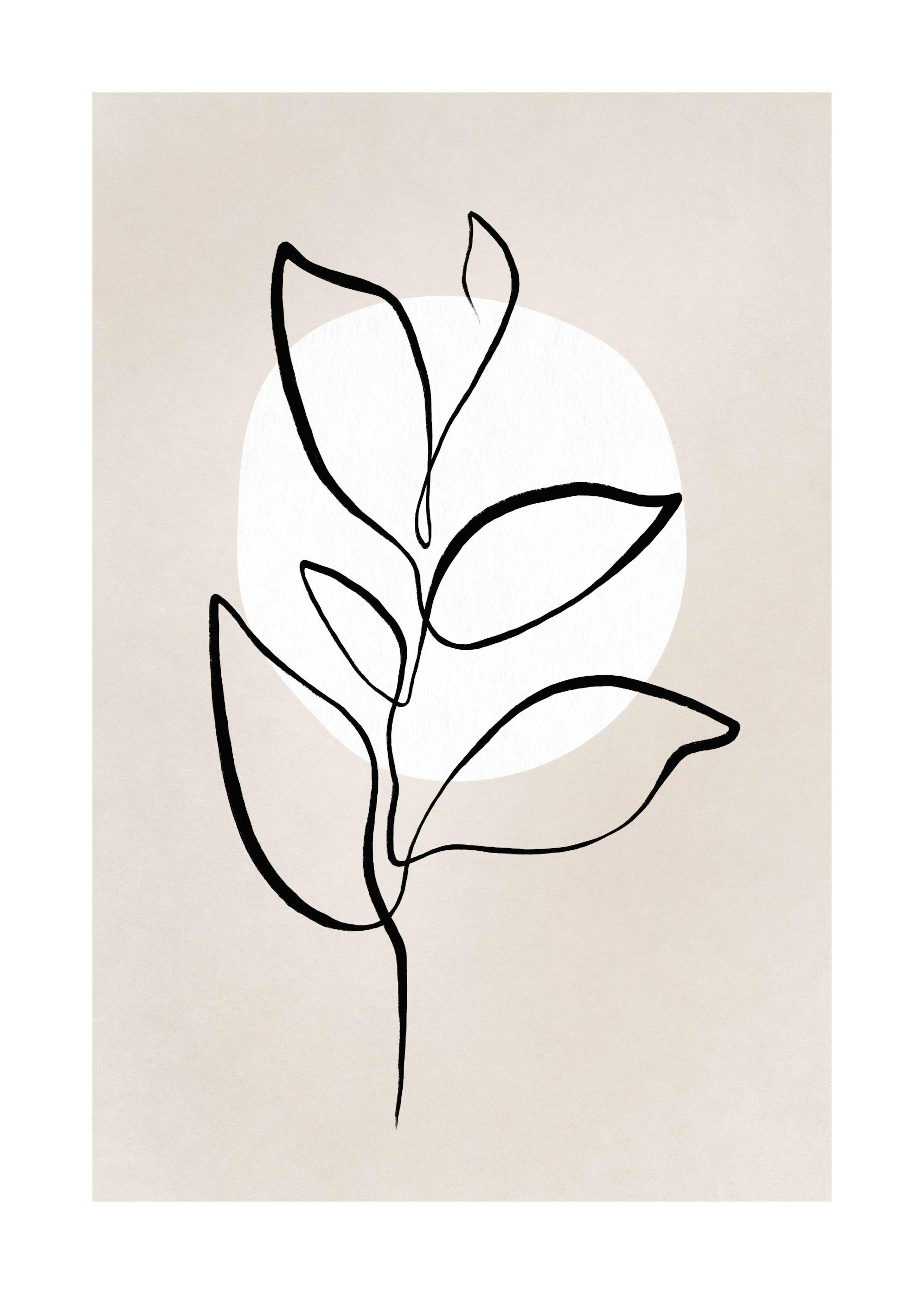 Botanical Lines No2 Plagát 0