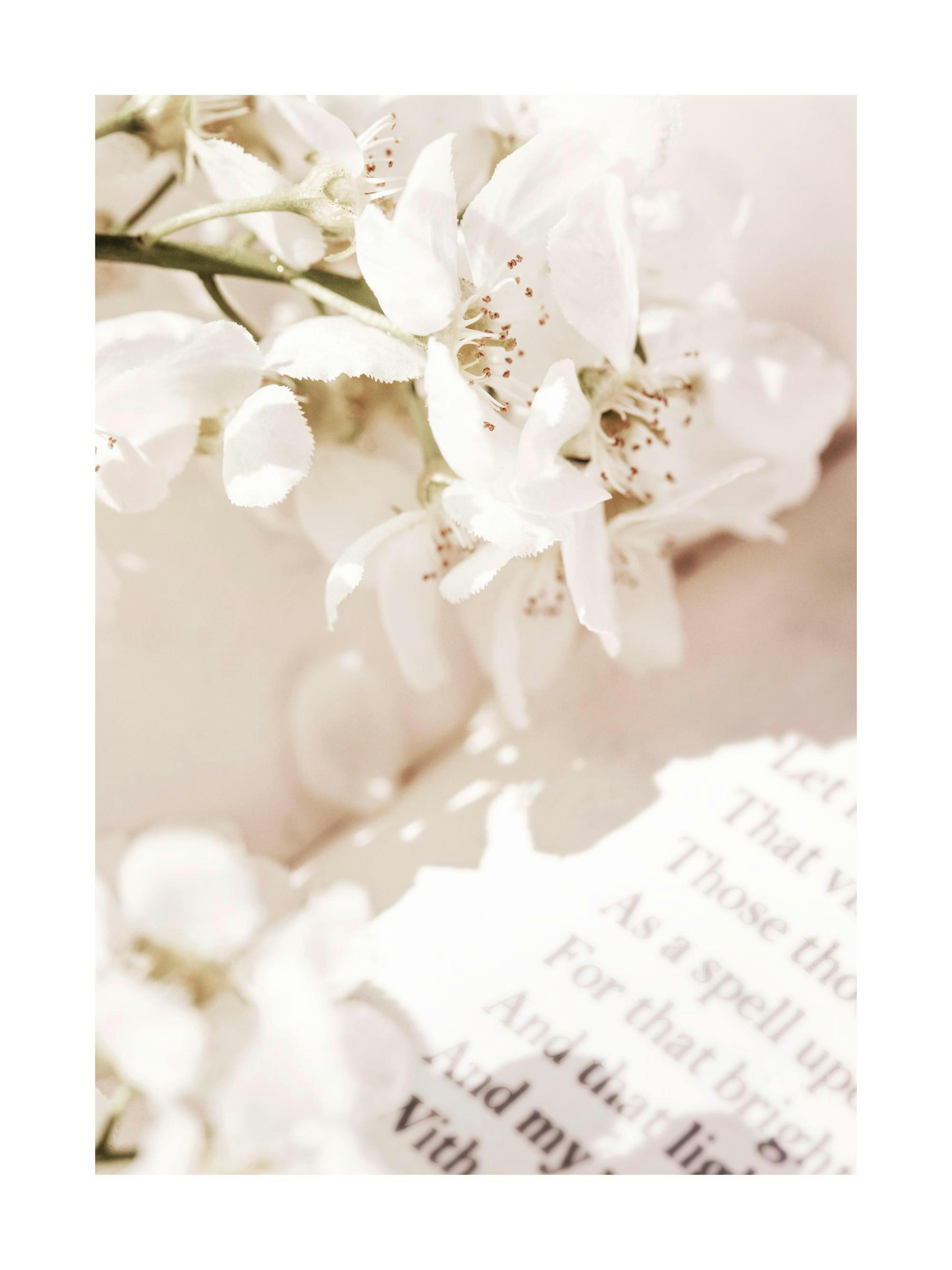 Product image: 1