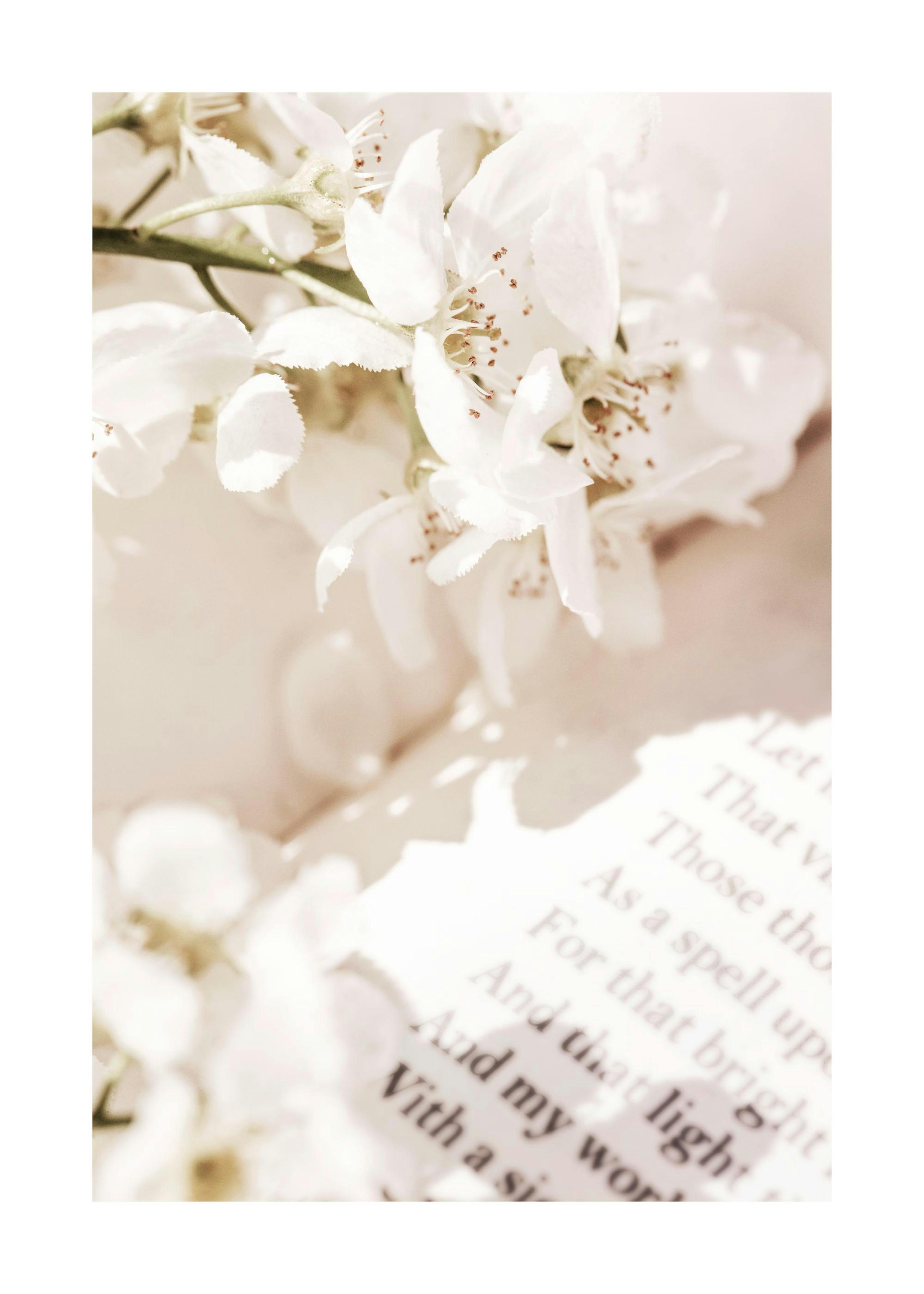 Flowers and Letters Print 0