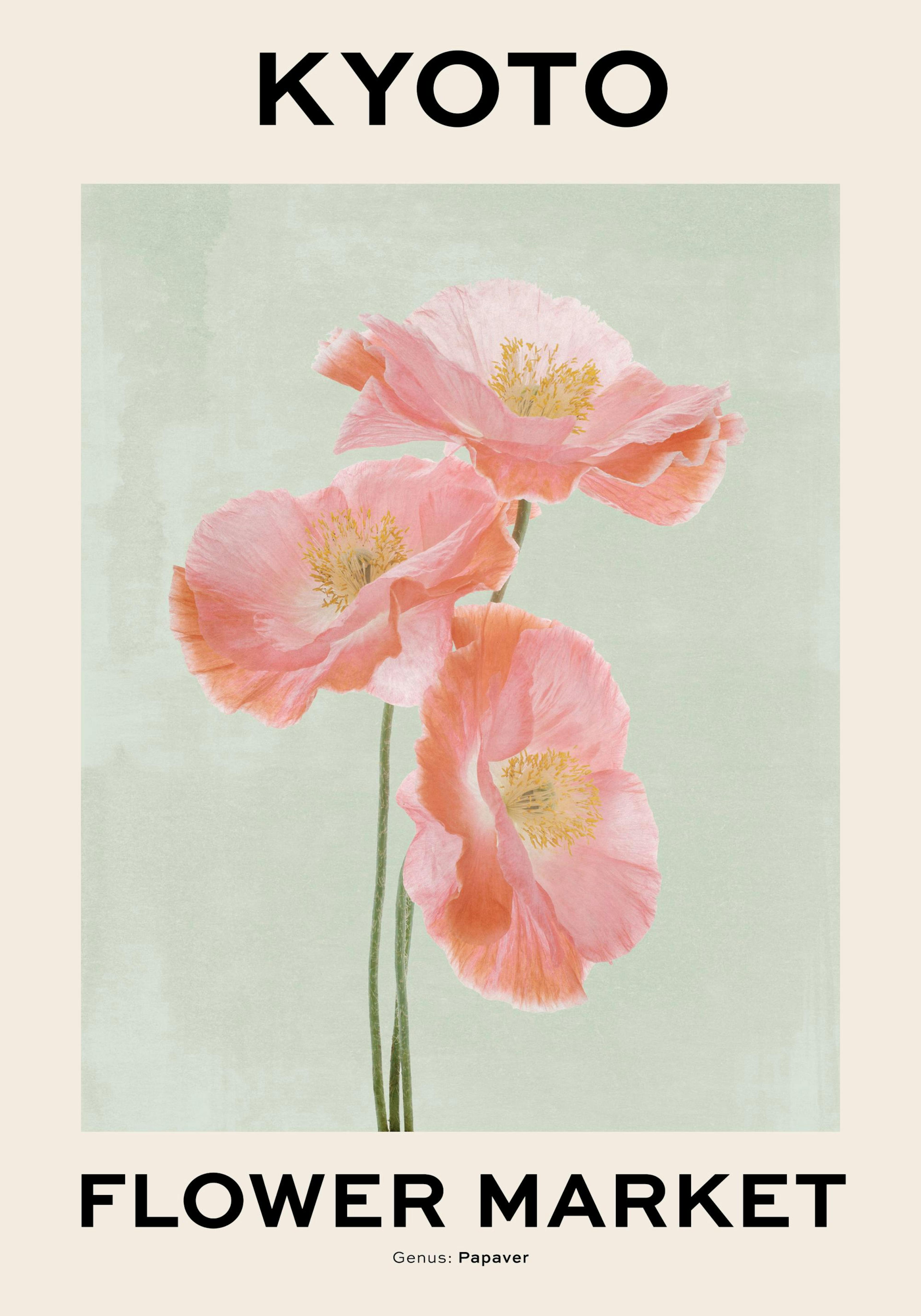 Kyoto Flower Market Print