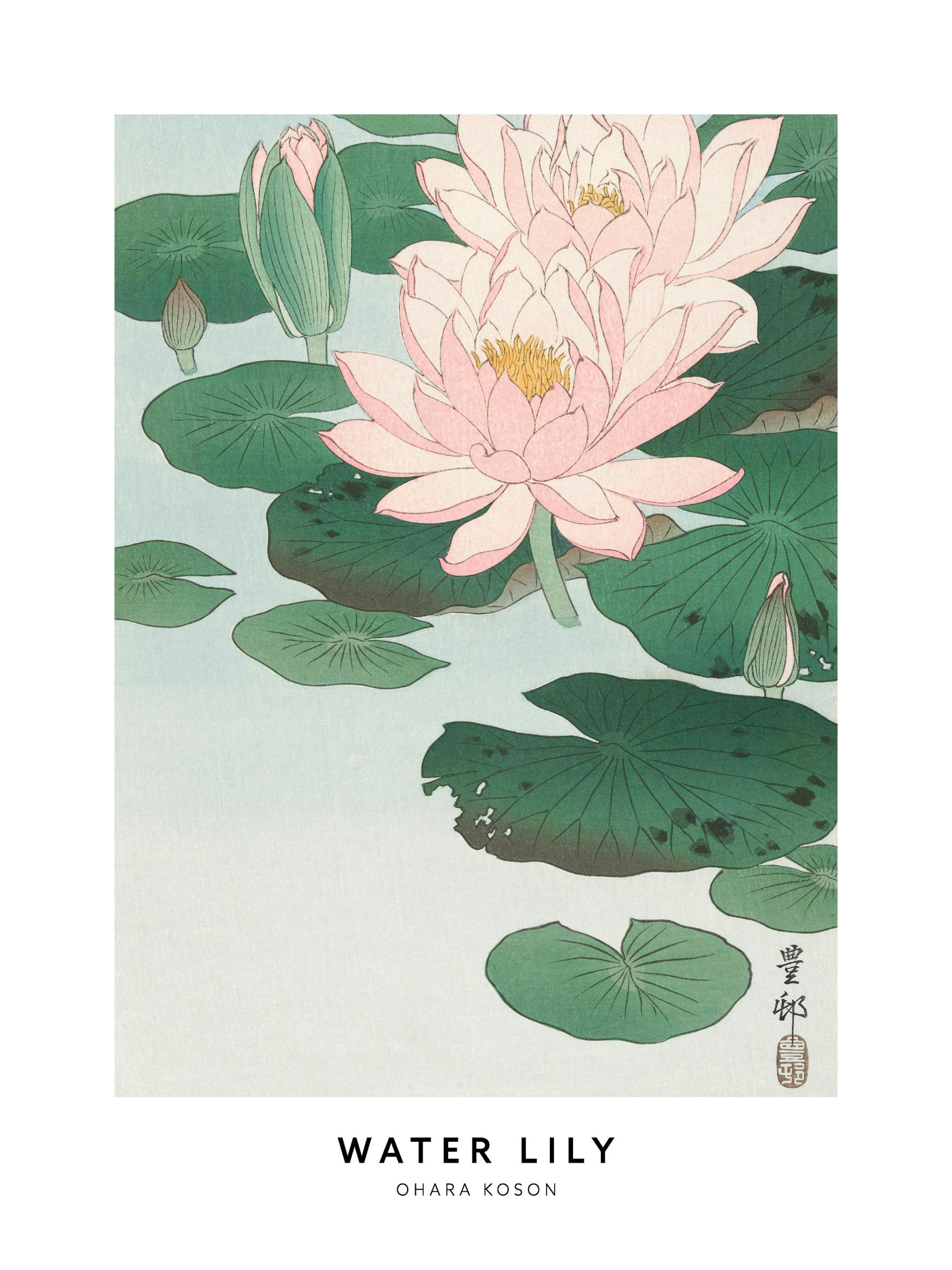 Ohara Koson - Water Lily Plakát