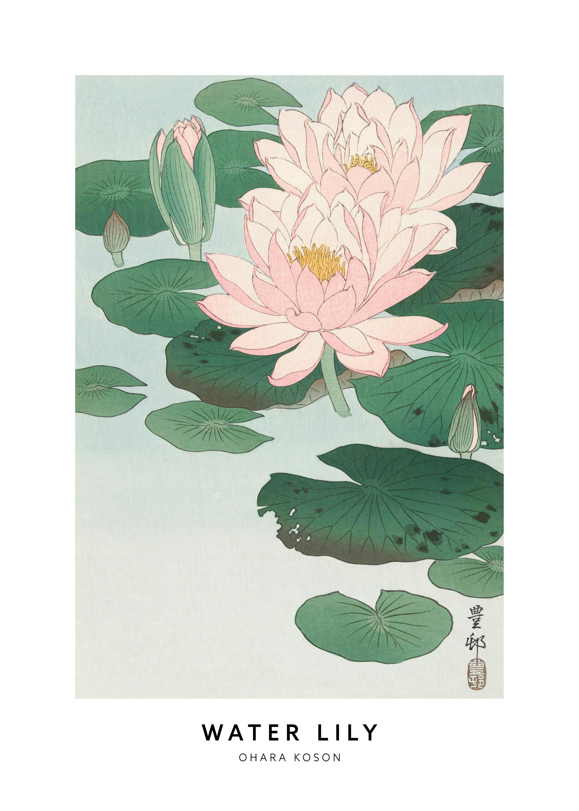 Ohara Koson - Water Lily Plagát 0