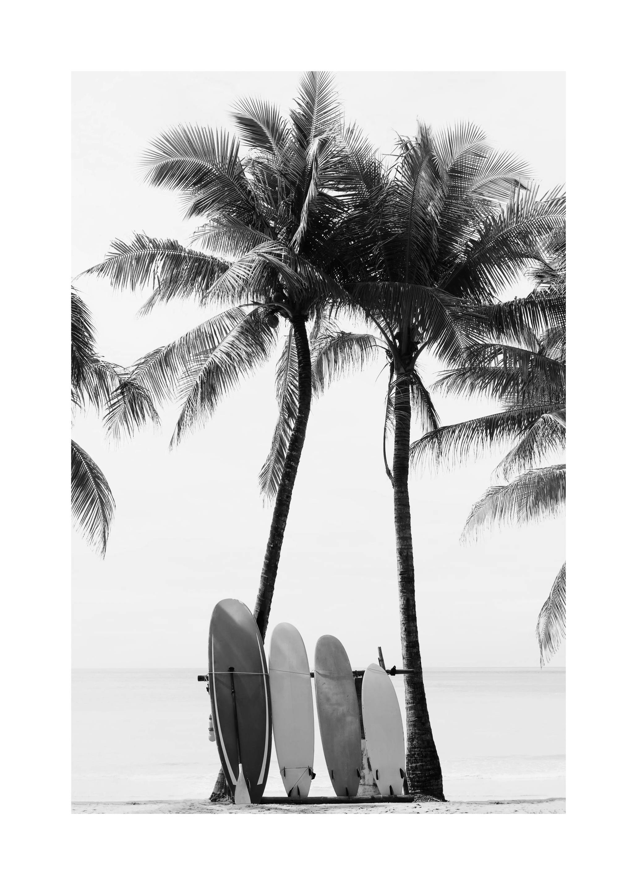 Surfboards BW Poster (50x70 cm) - Zwart wit posters
