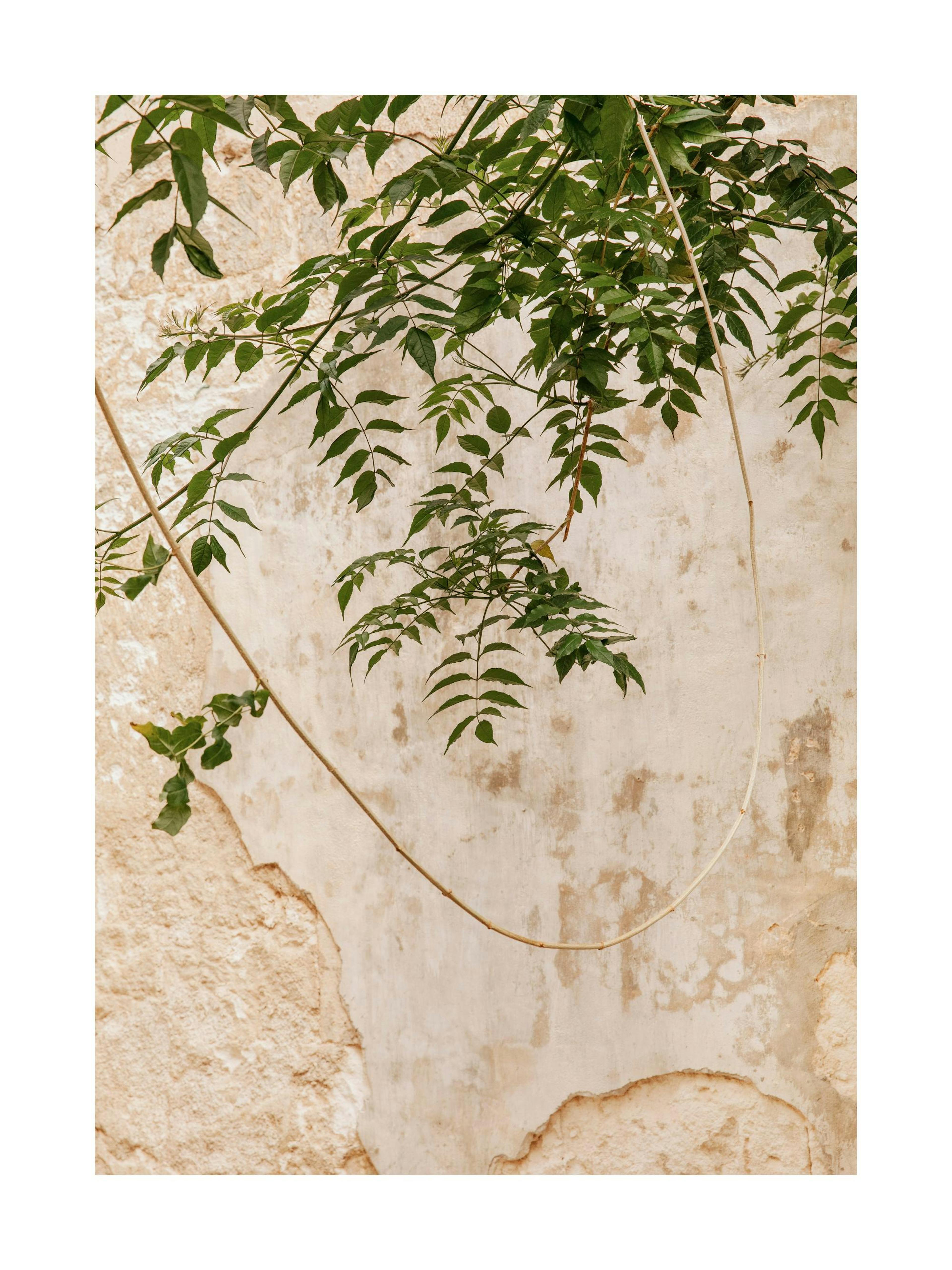 Product image: 1