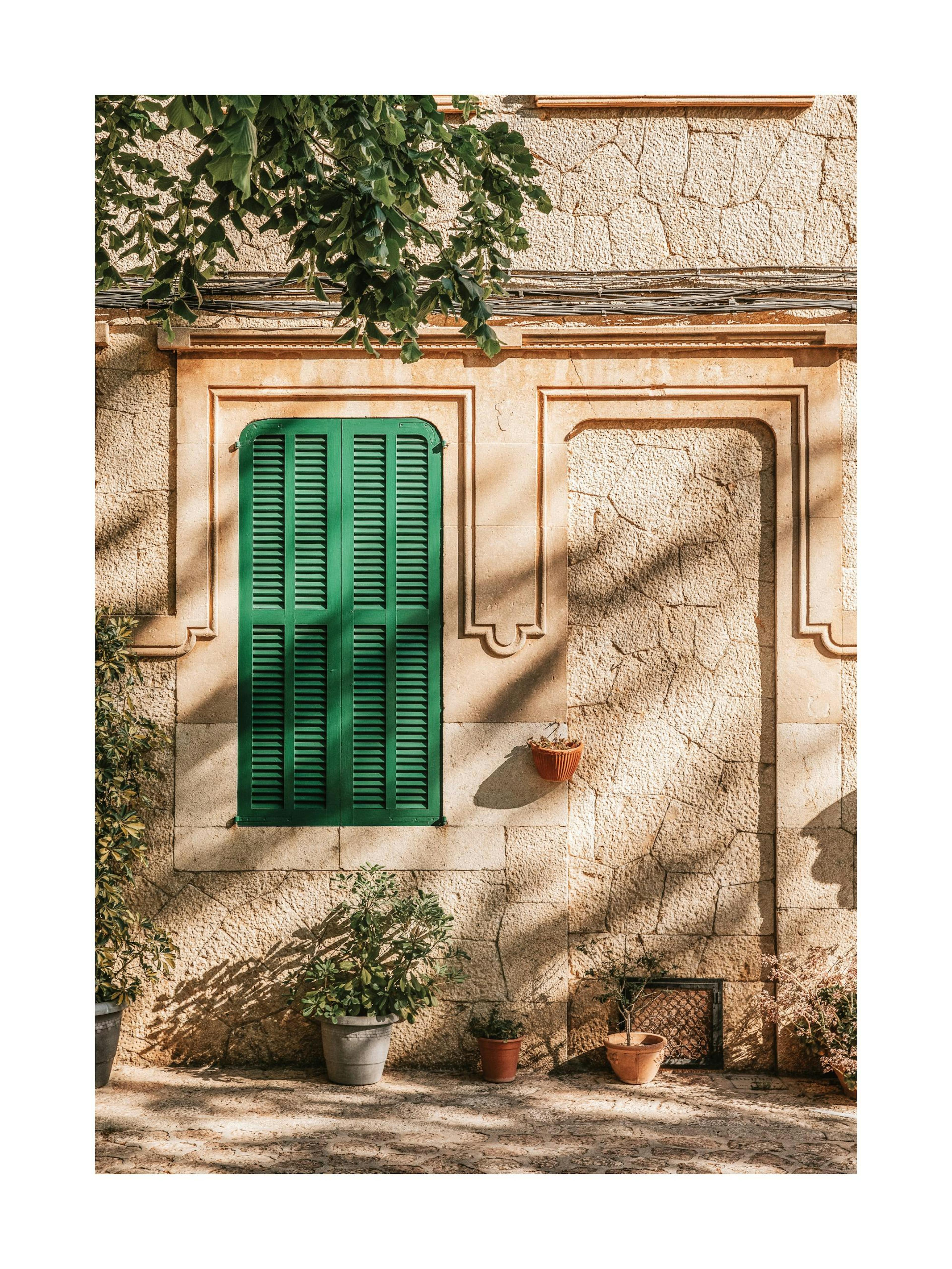 Green Window Poster