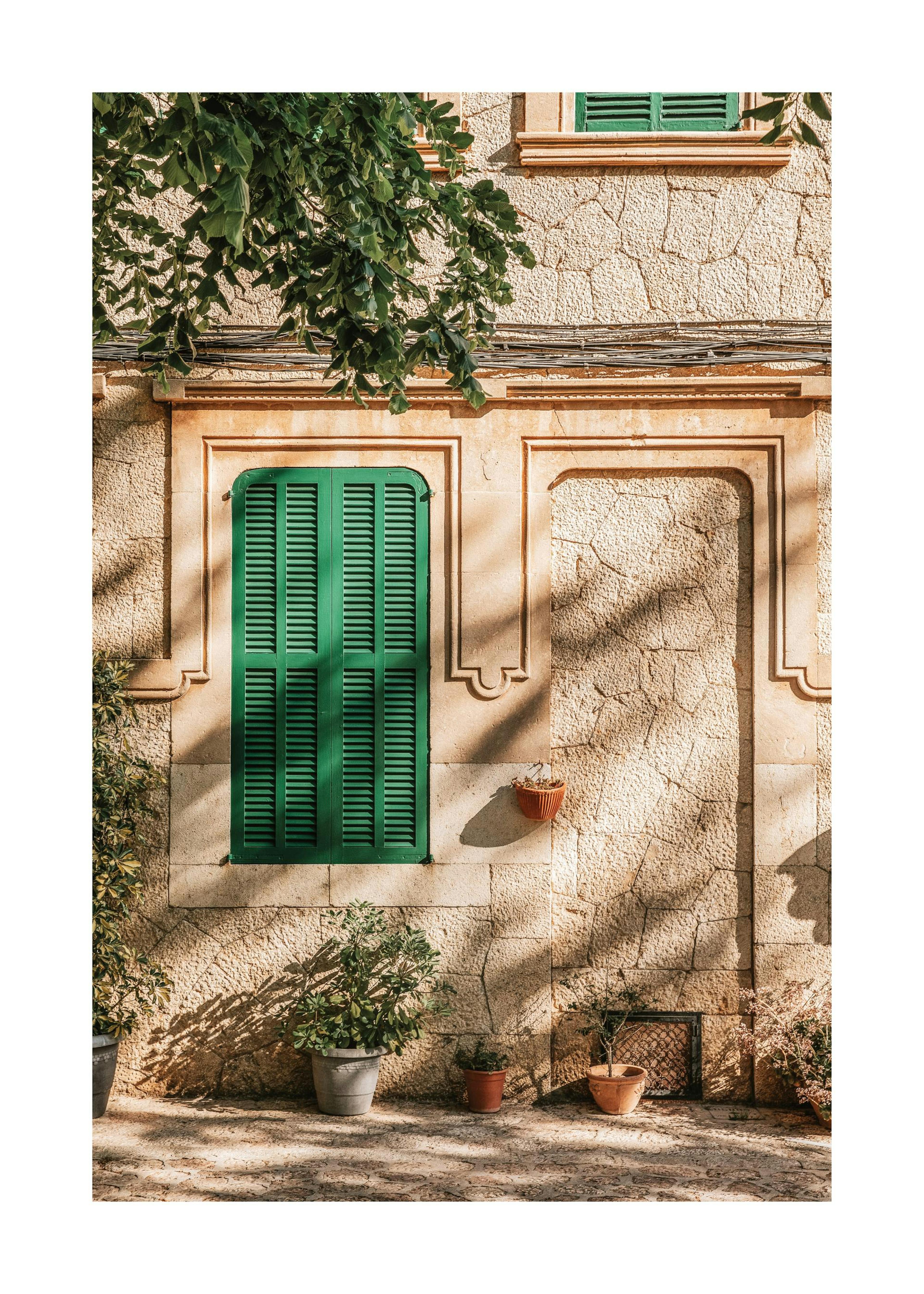 Green Window Poster 0