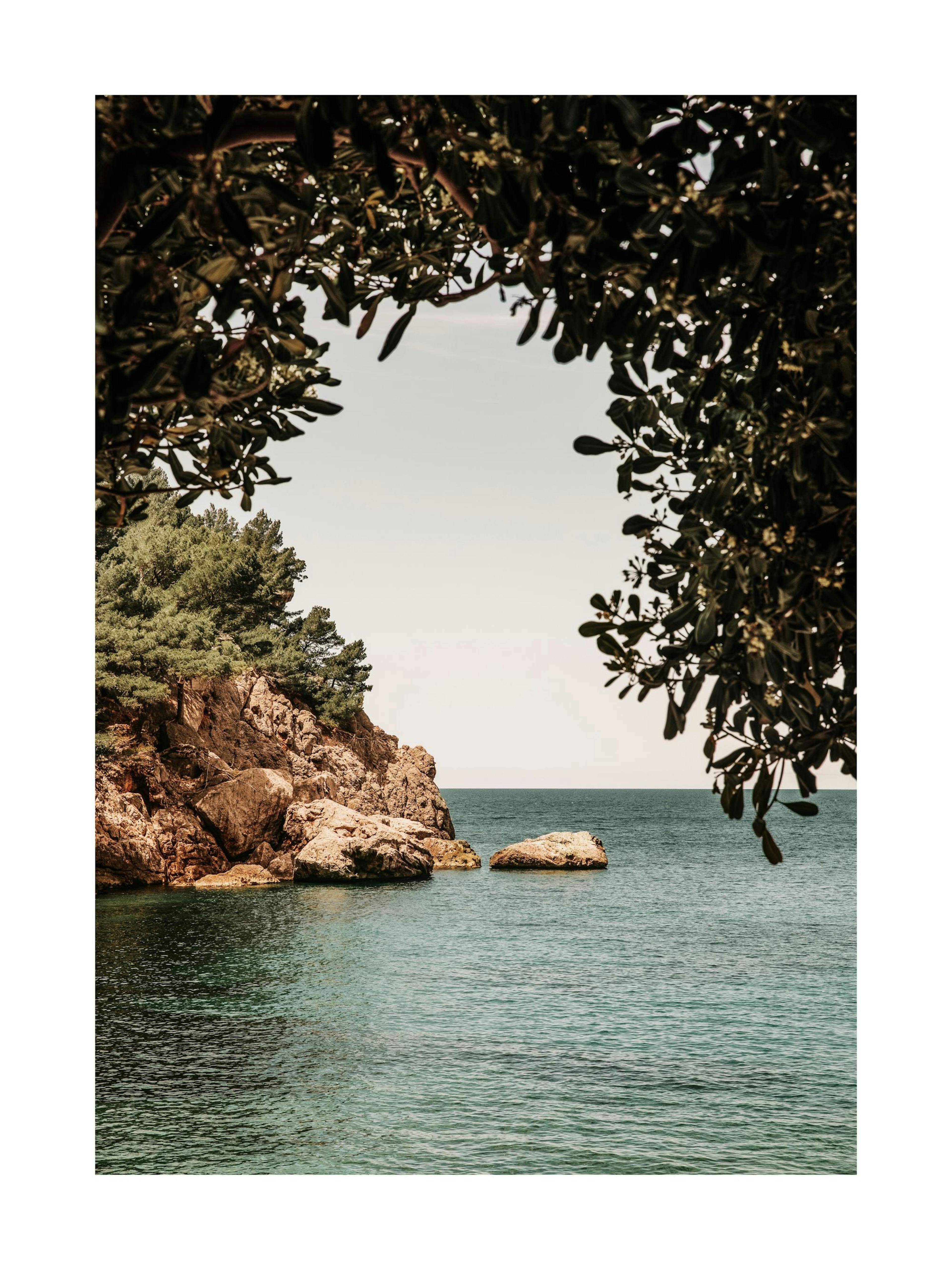 Organic Arch Poster