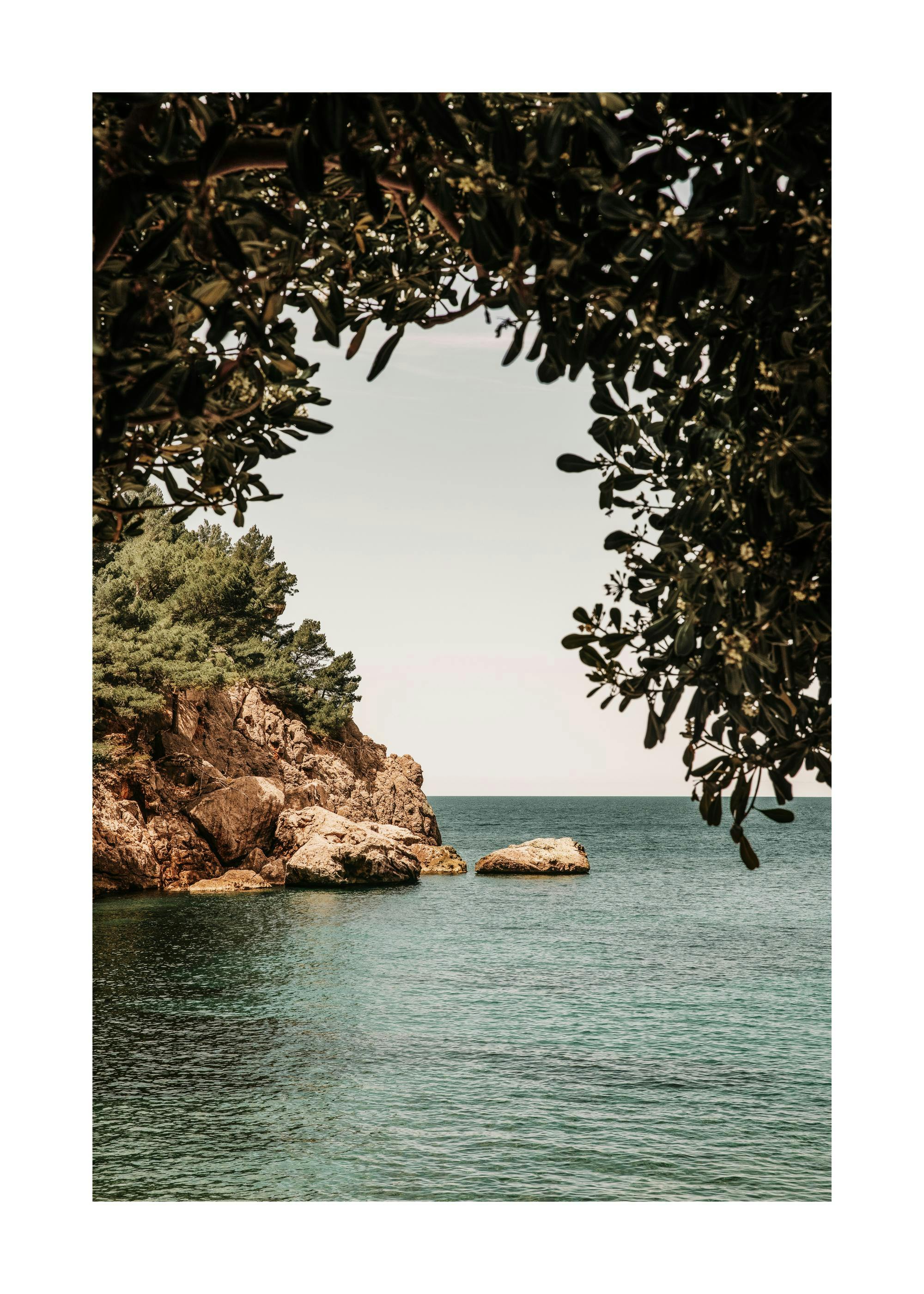 Organic Arch Poster 0