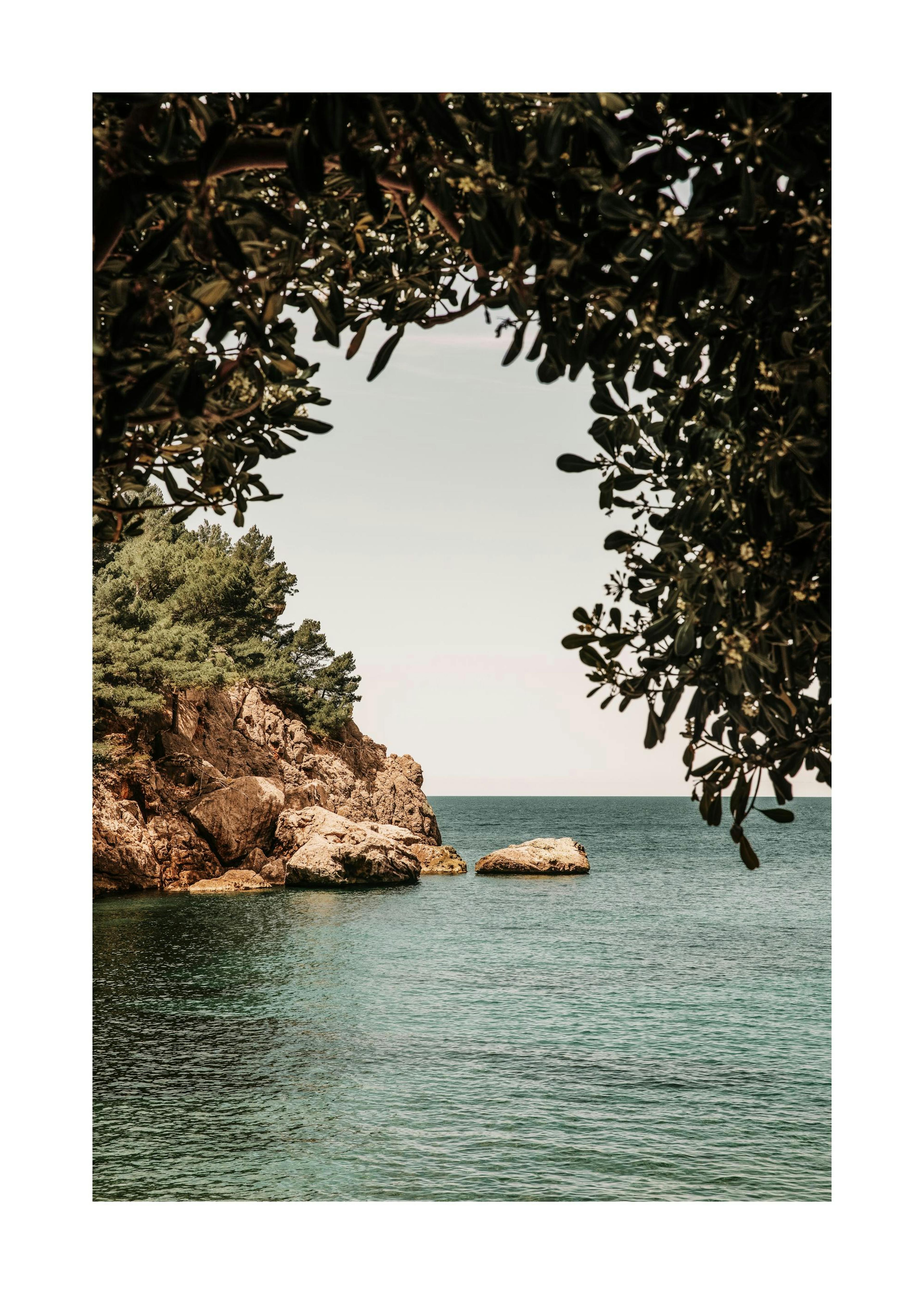 Organic Arch Print 0
