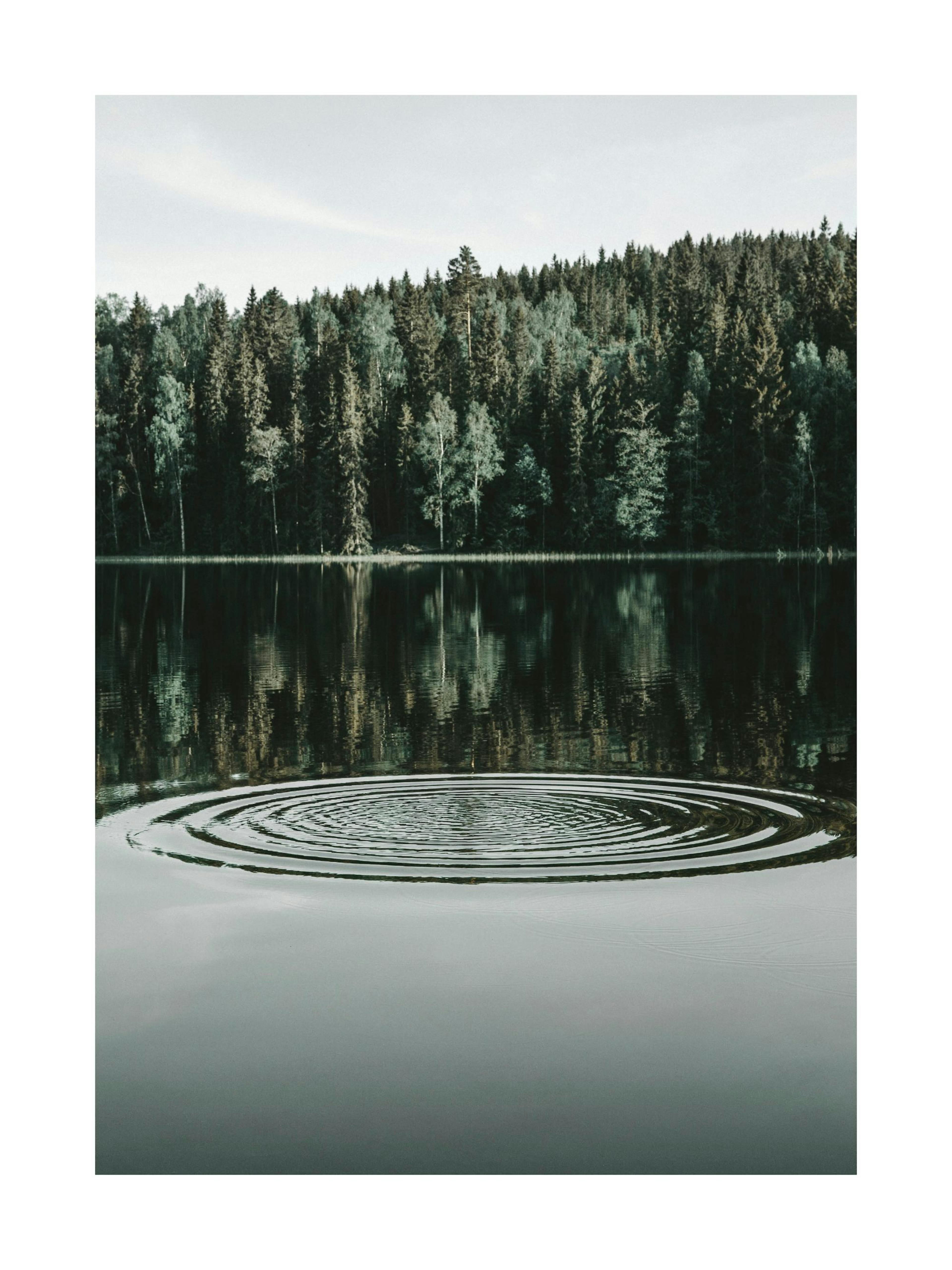 Ripples on the Water Print