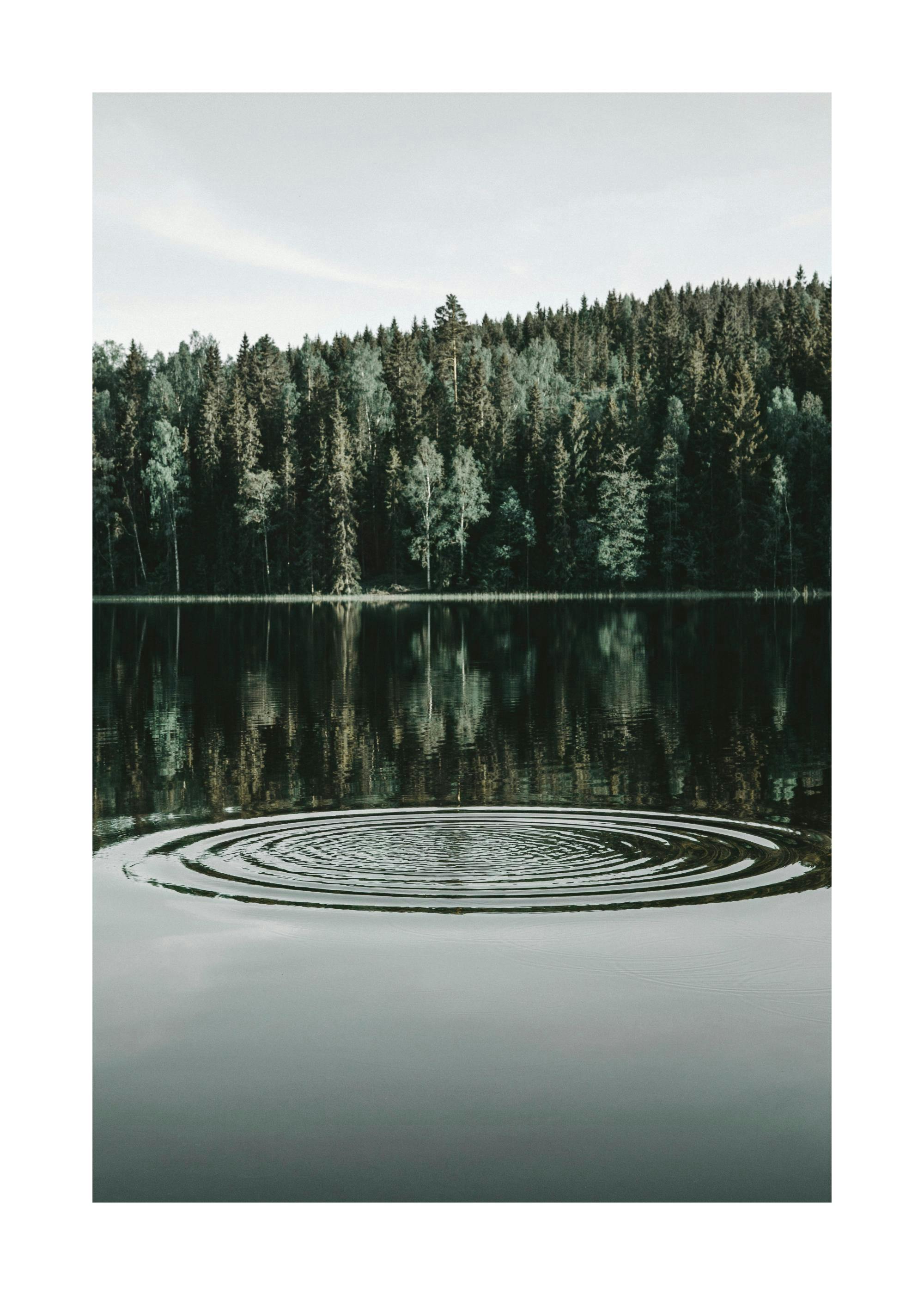 Ripples on the Water Affiche 0