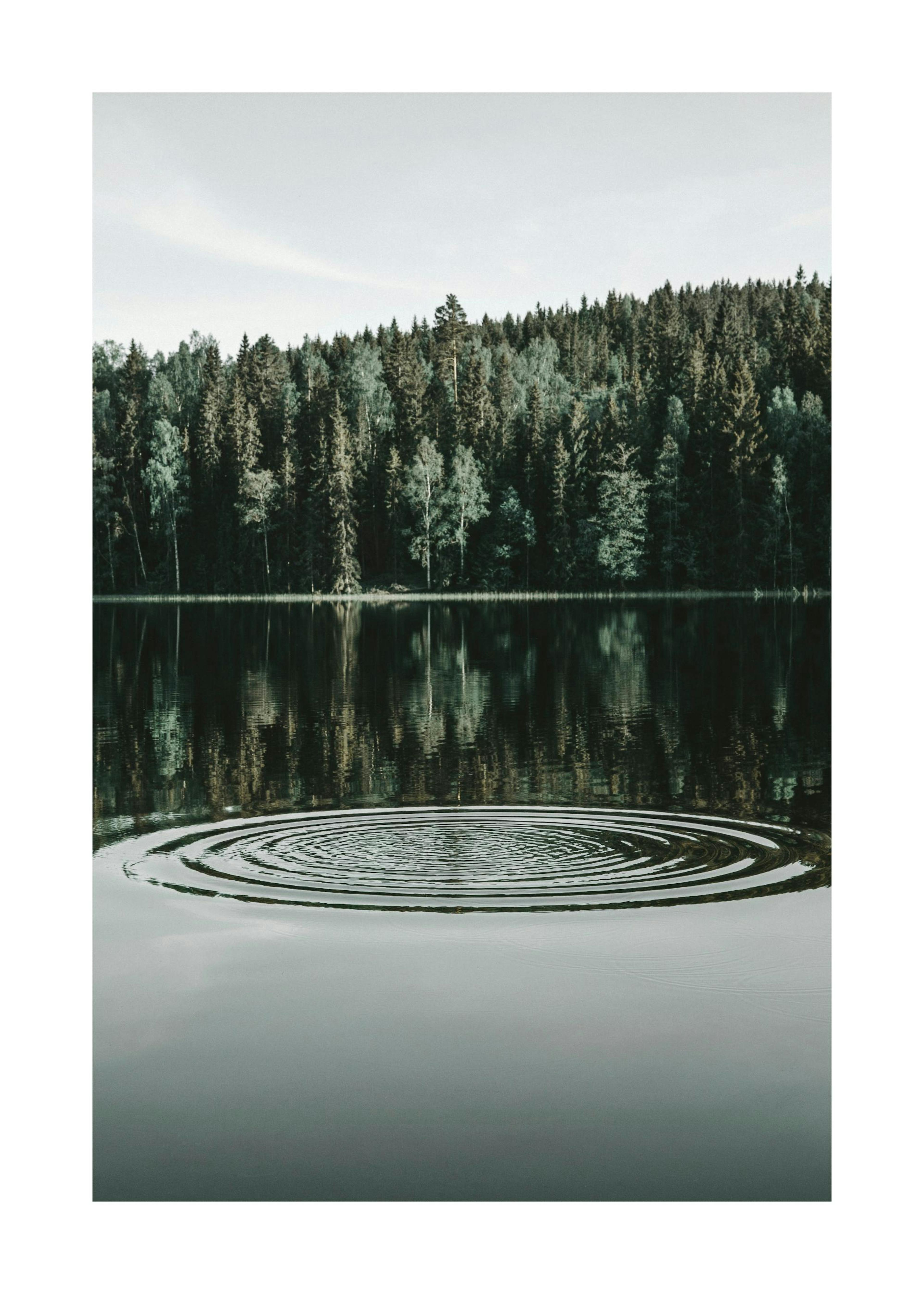 Ripples on the Water Print 0