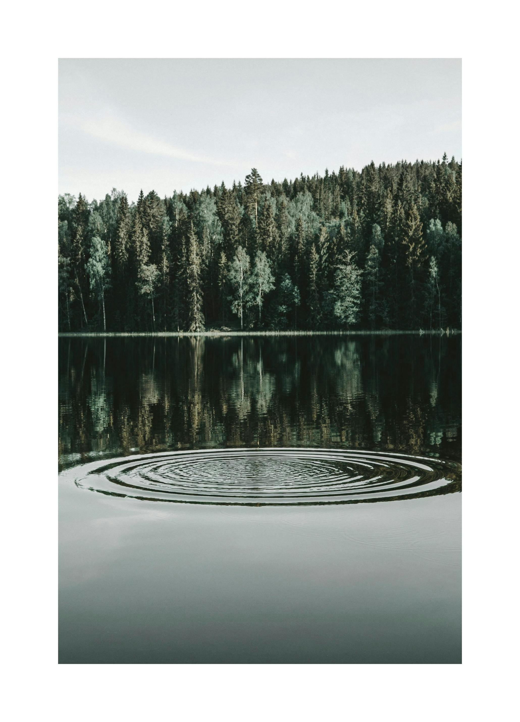 Ripples on the Water Poster (30x40 cm) -  Bilder mit Naturmotiven