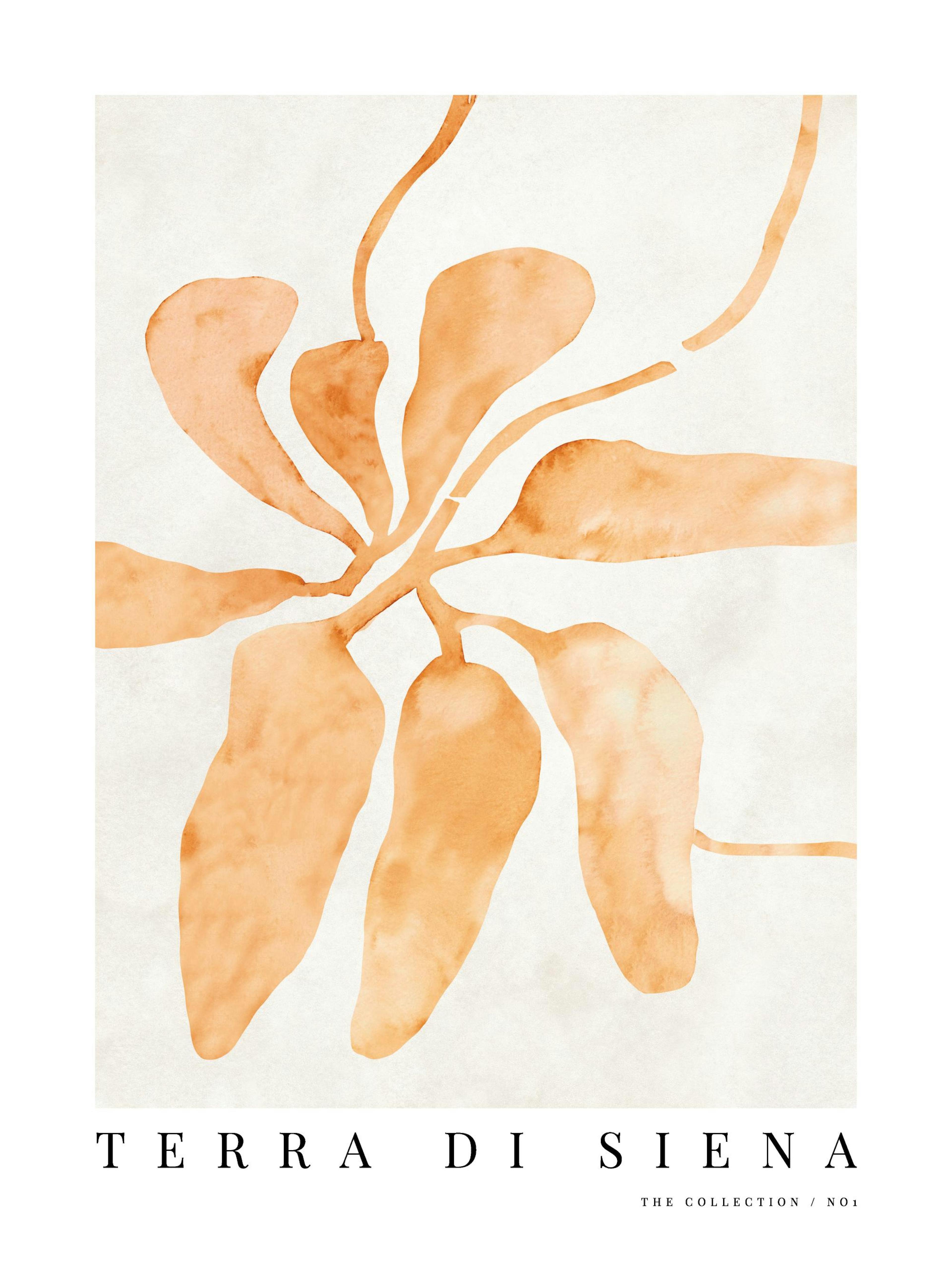 Terra di Siena No1 Print