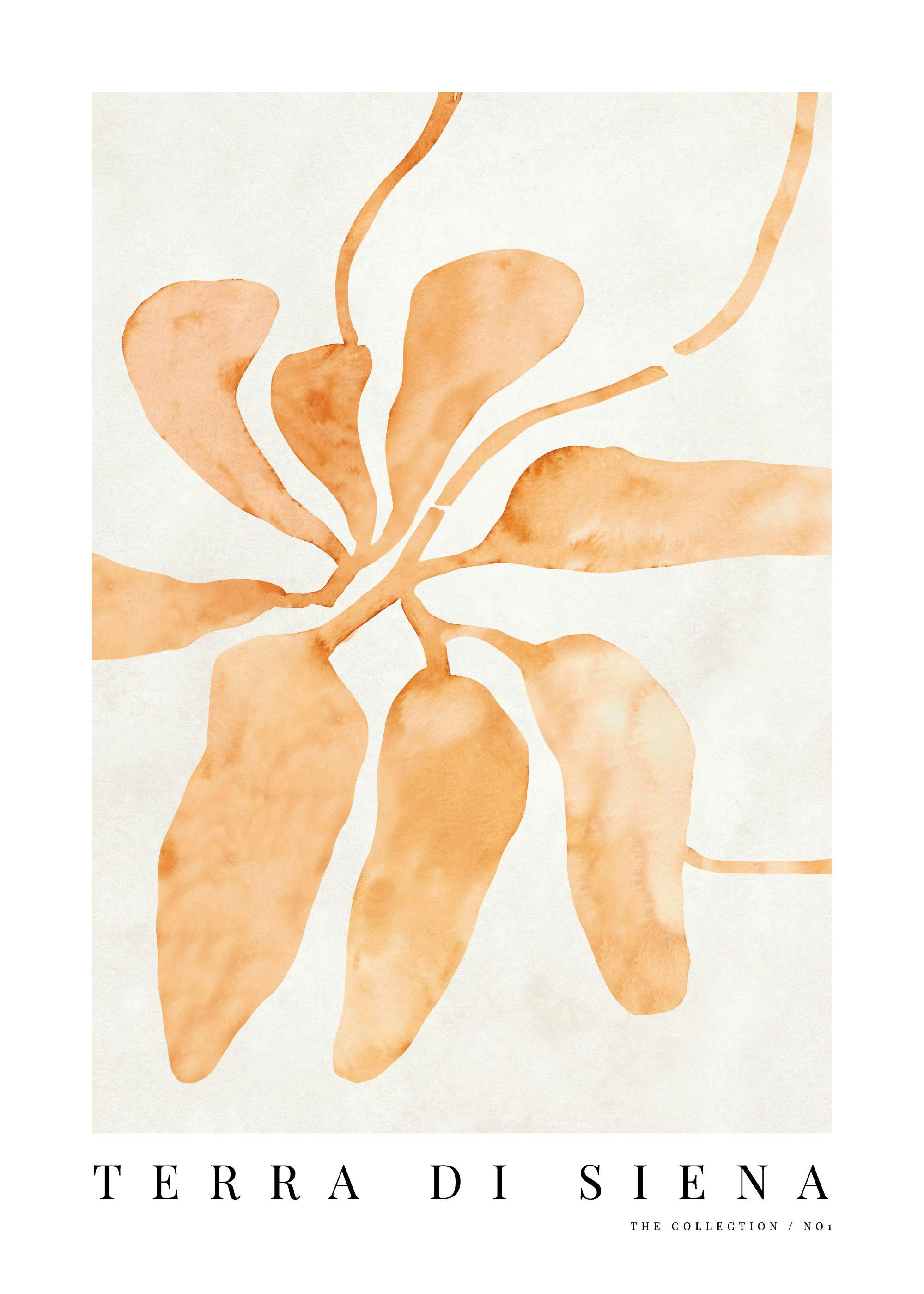 Terra di Siena No1 Print 0