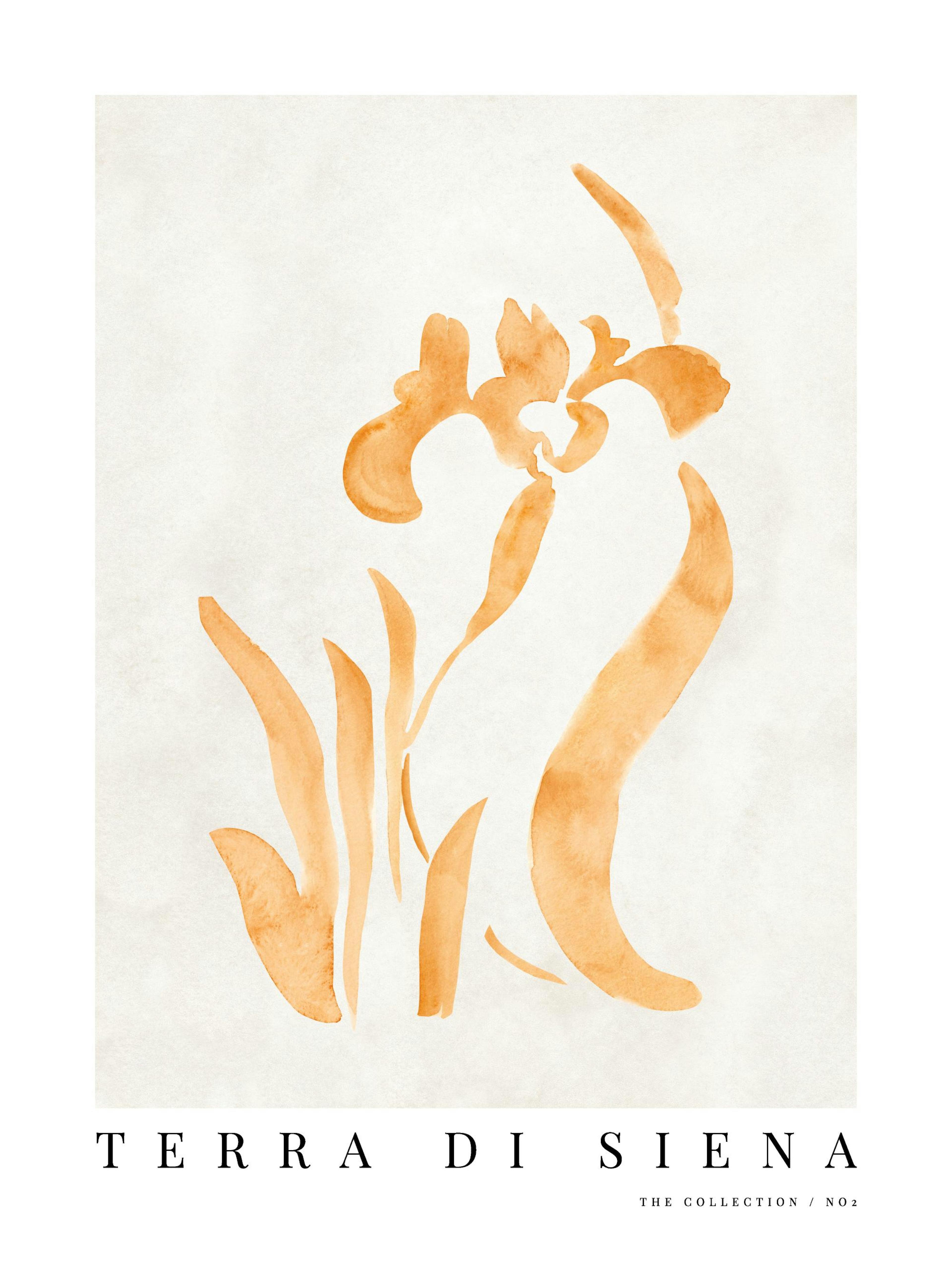 Terra di Siena No2 Print