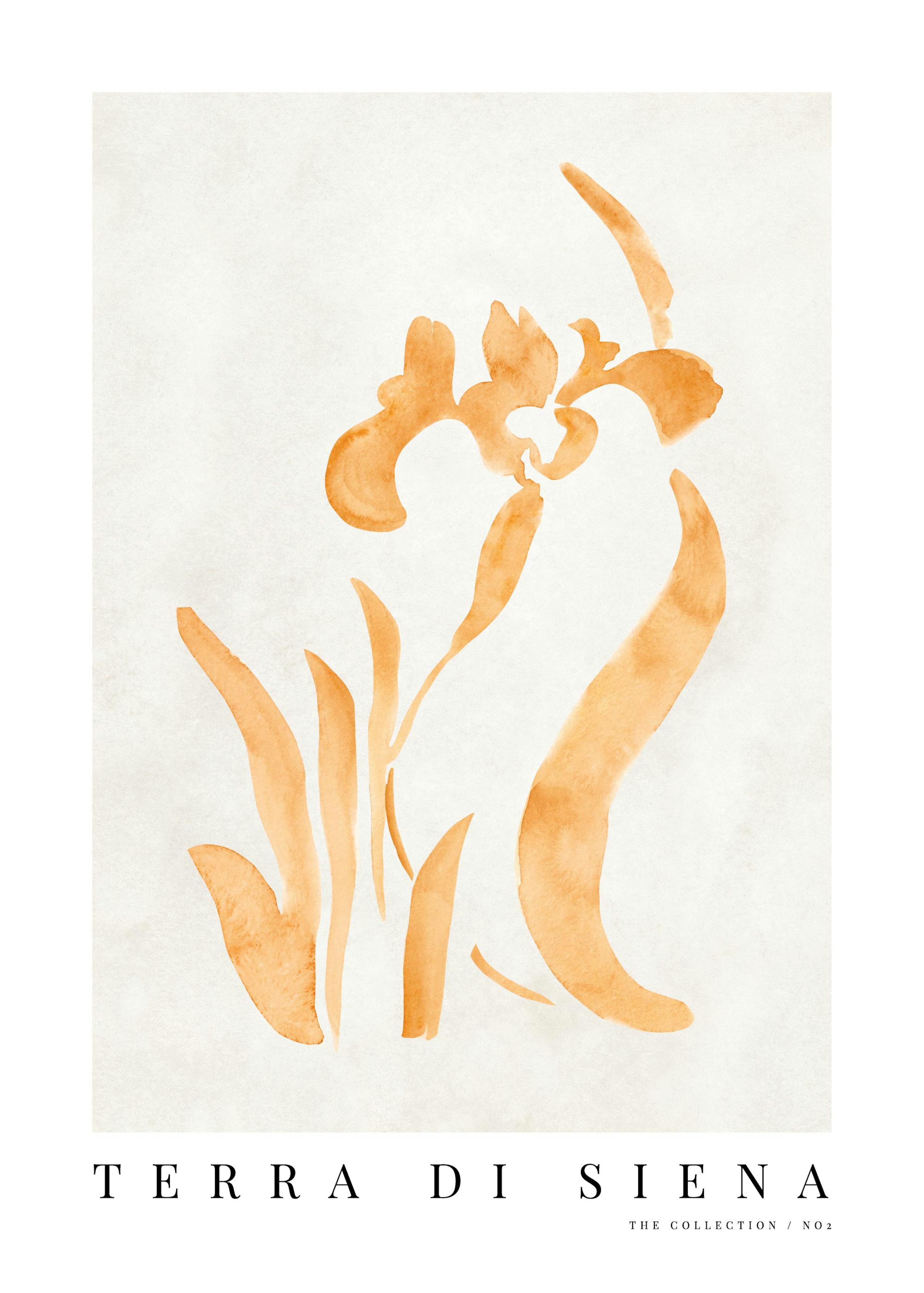 Terra di Siena No2 포스터 0