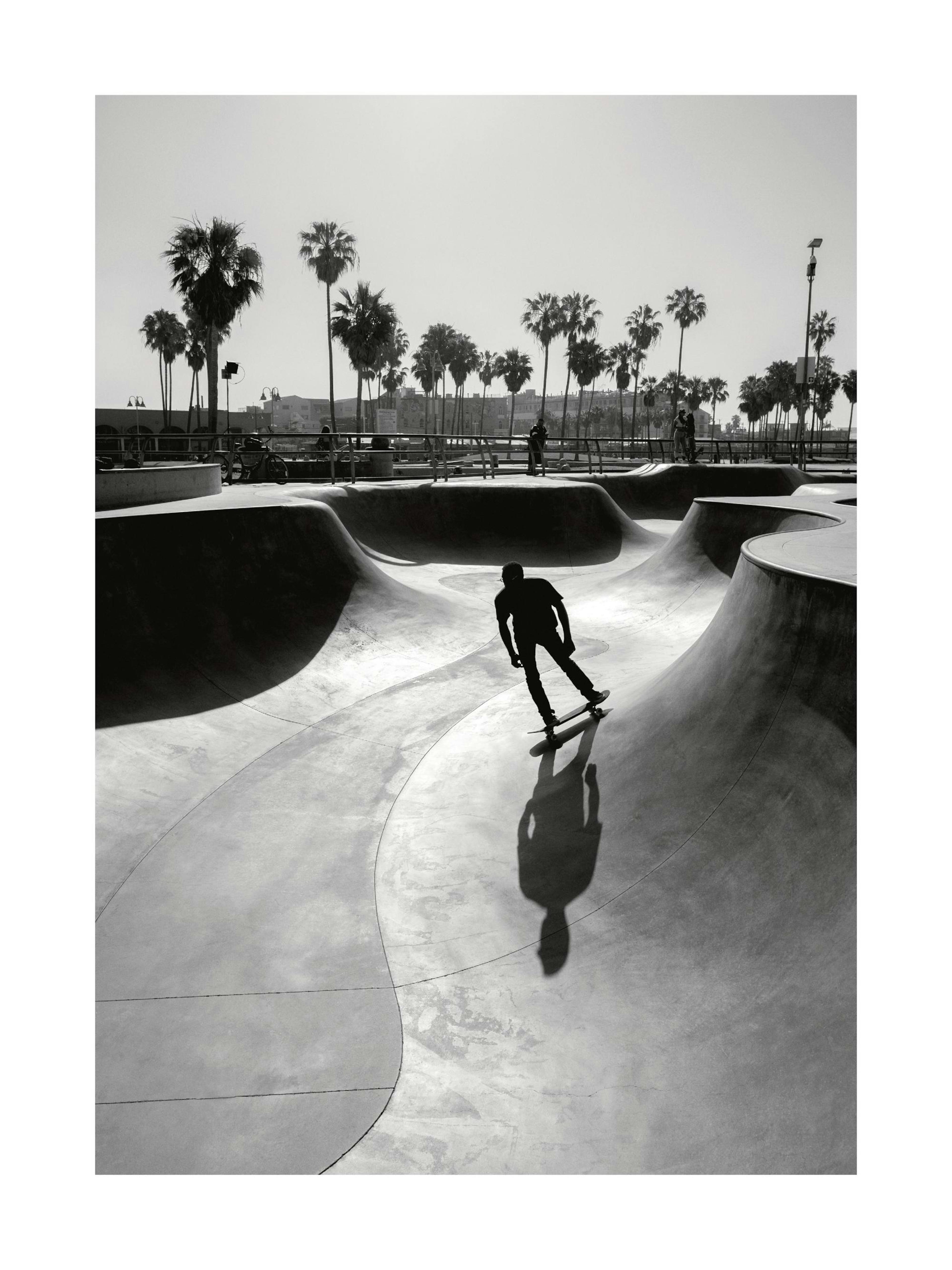 Venice Beach Skate Poster