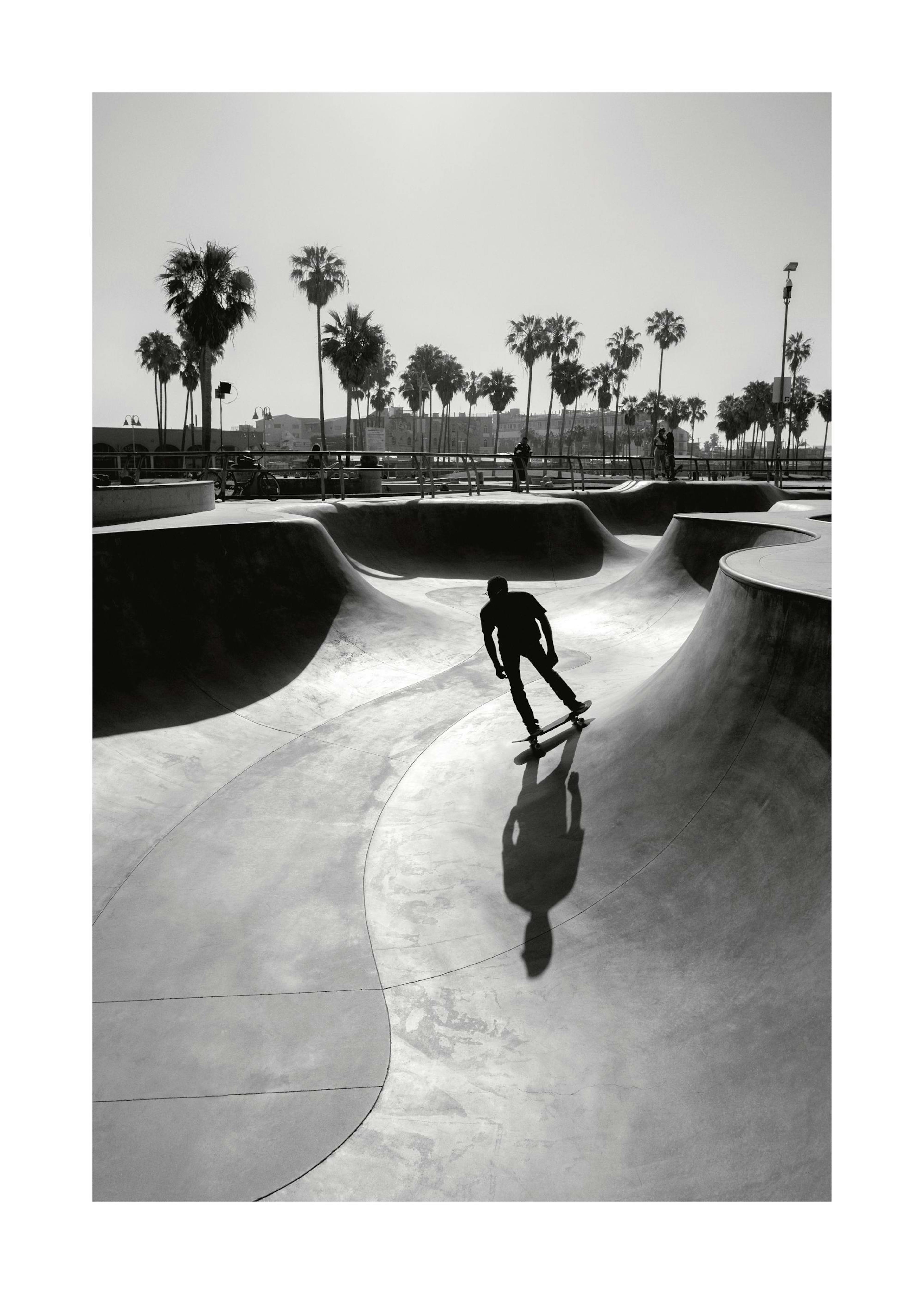 Venice Beach Skate Print 0