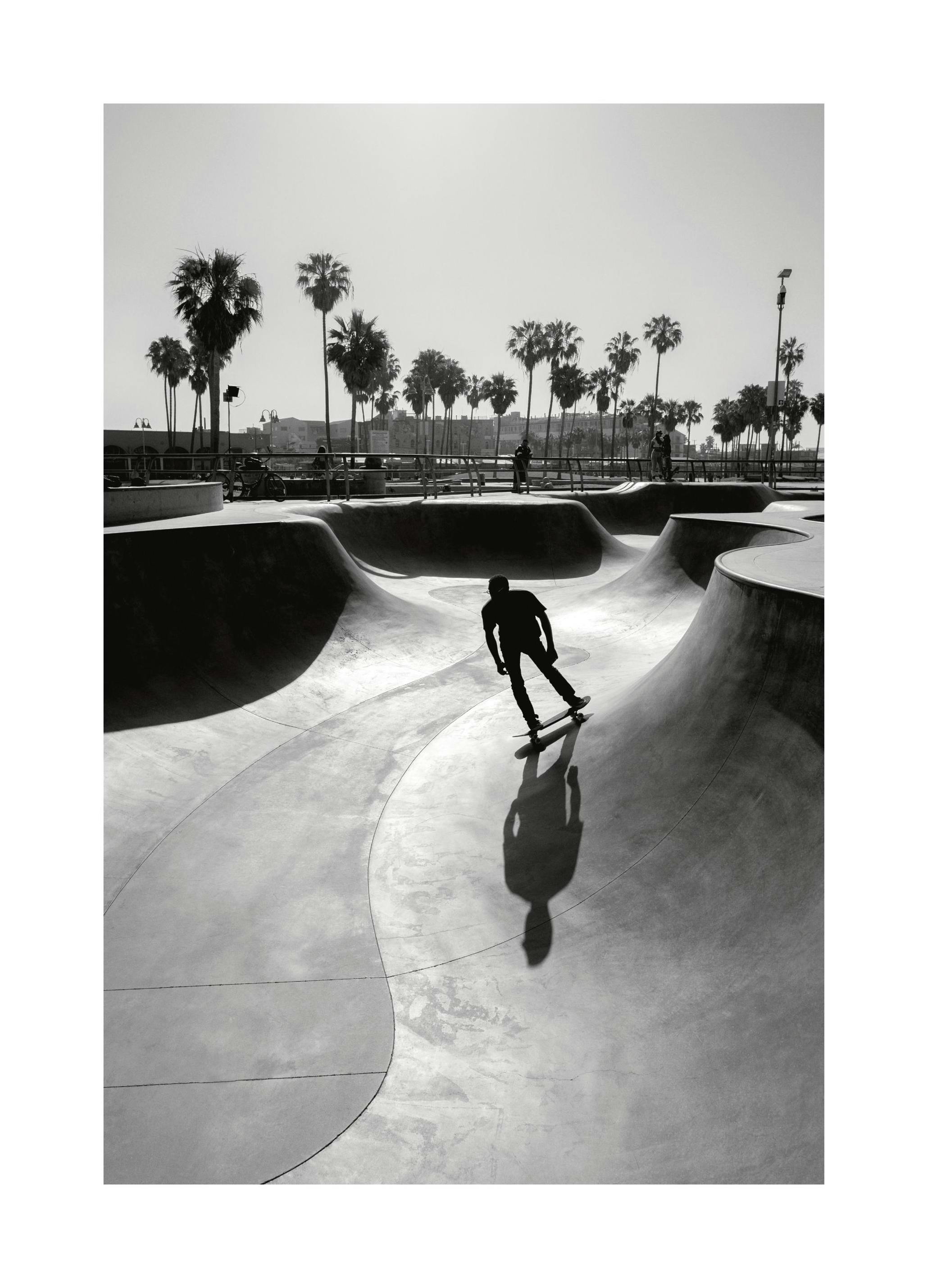 Venice Beach Skate Poster (50x70 cm)- Poster di sport e stampe