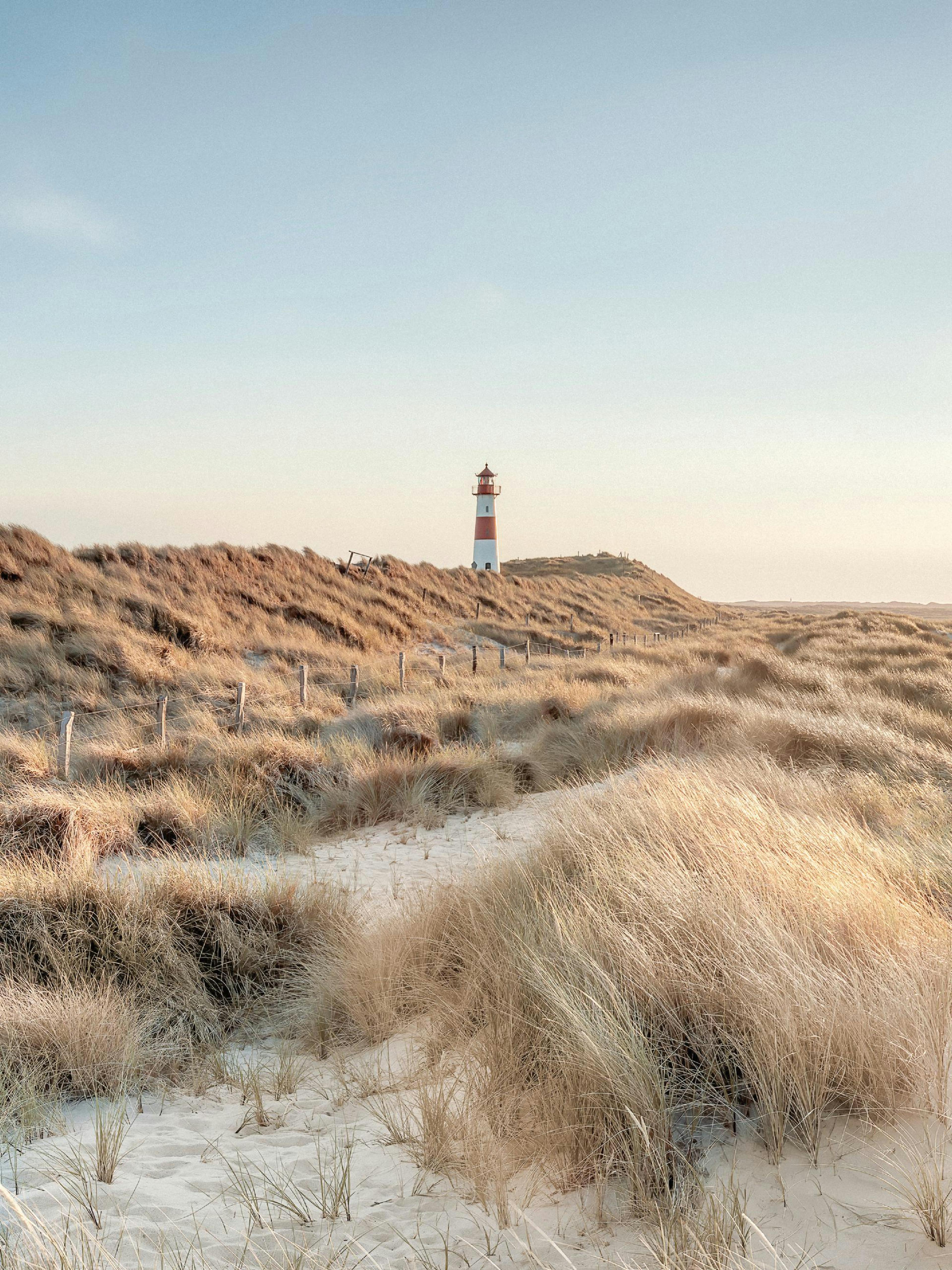 Lighthouse Beach No1 Poster