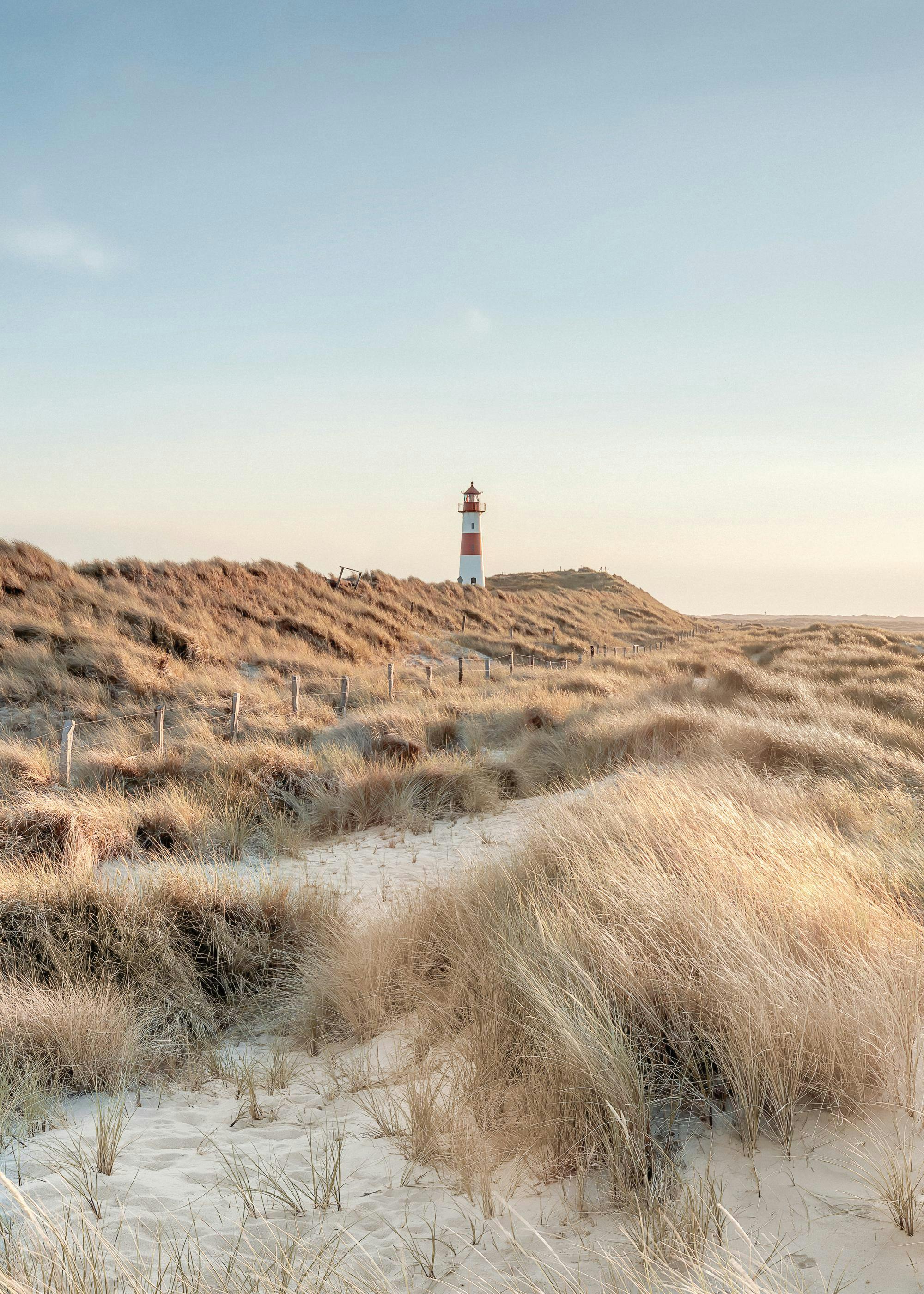 Lighthouse Beach No1 Print 0