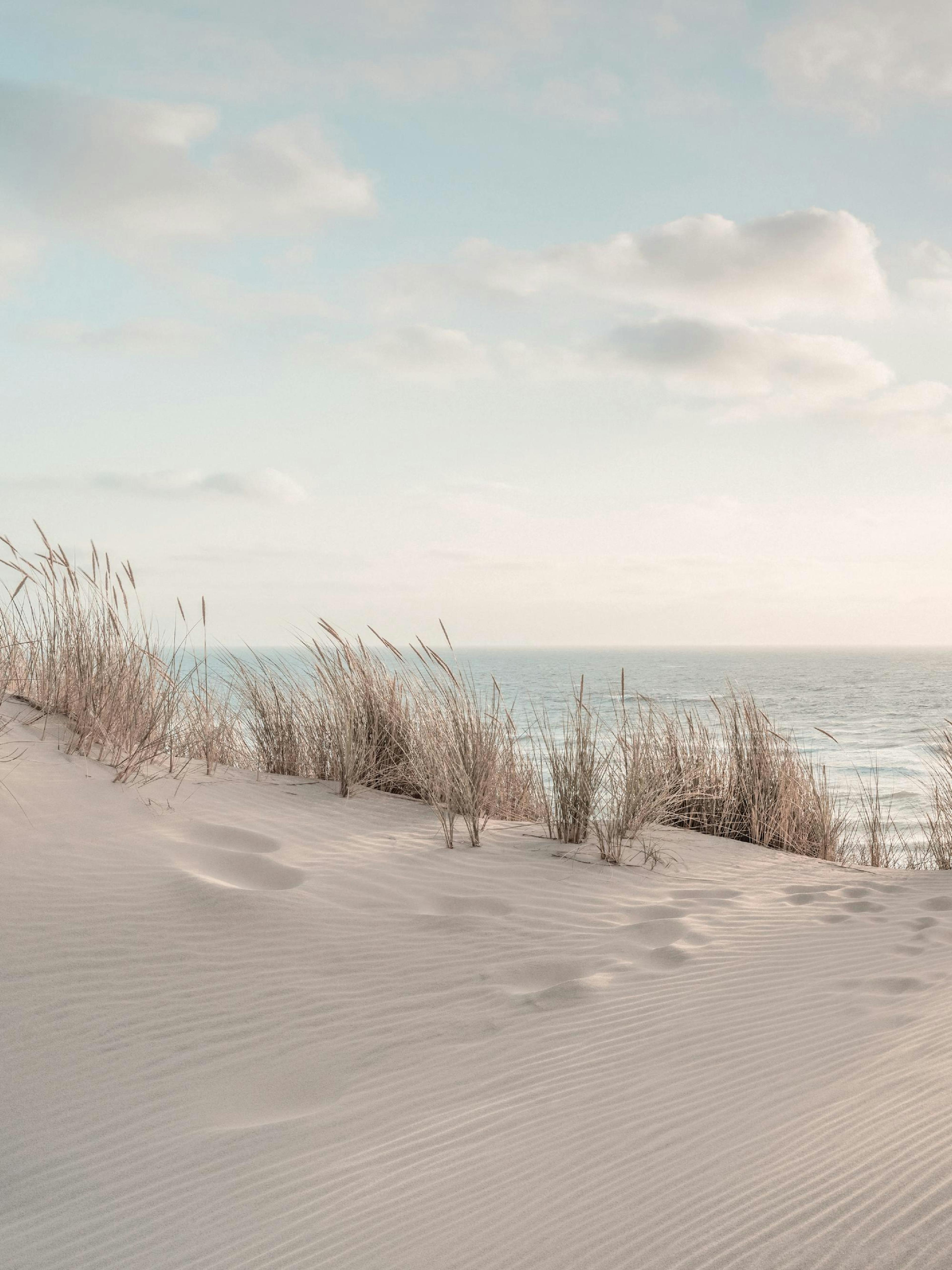 Dune Beach No1 Poster
