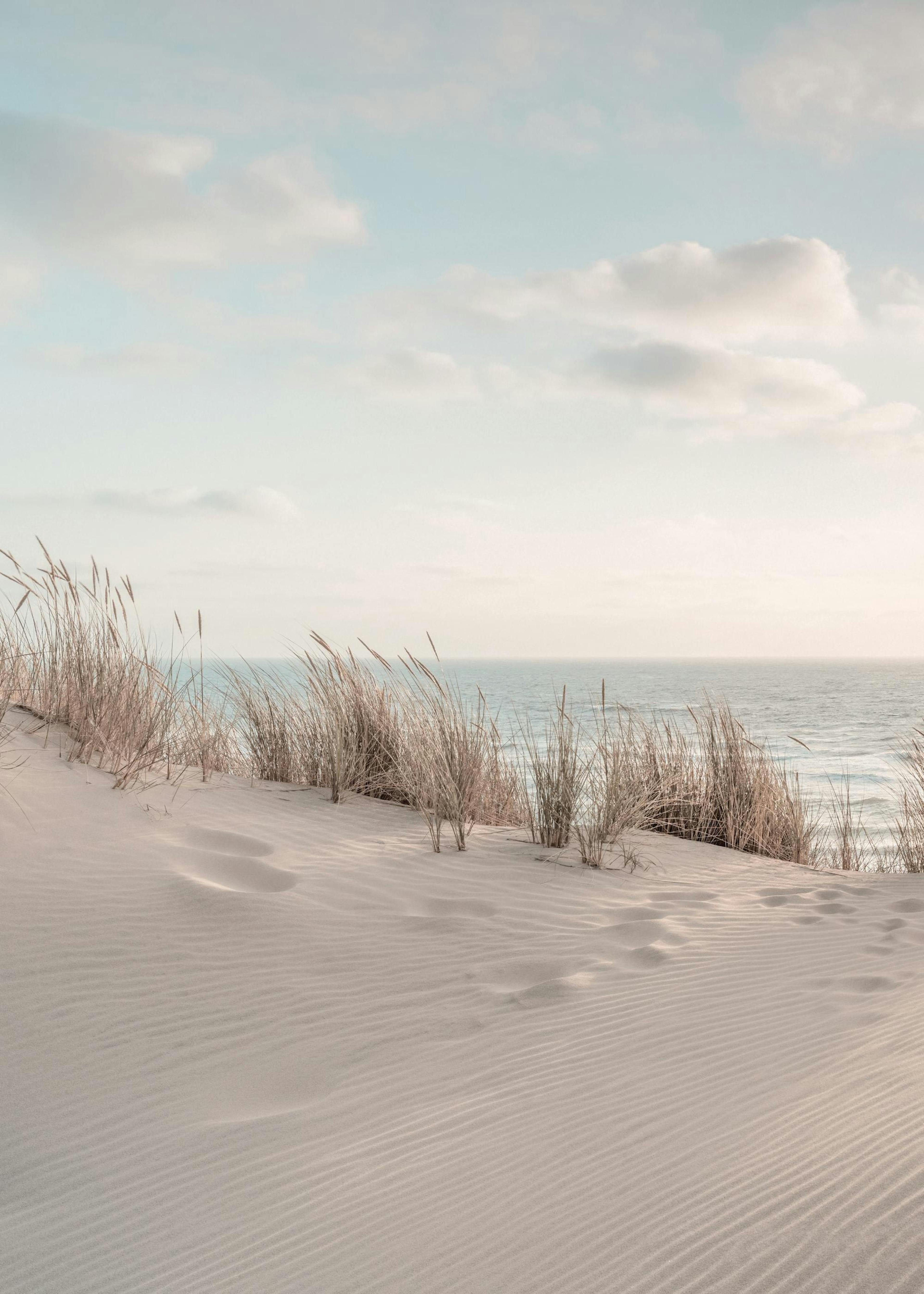 Dune Beach No1 Plagát 0